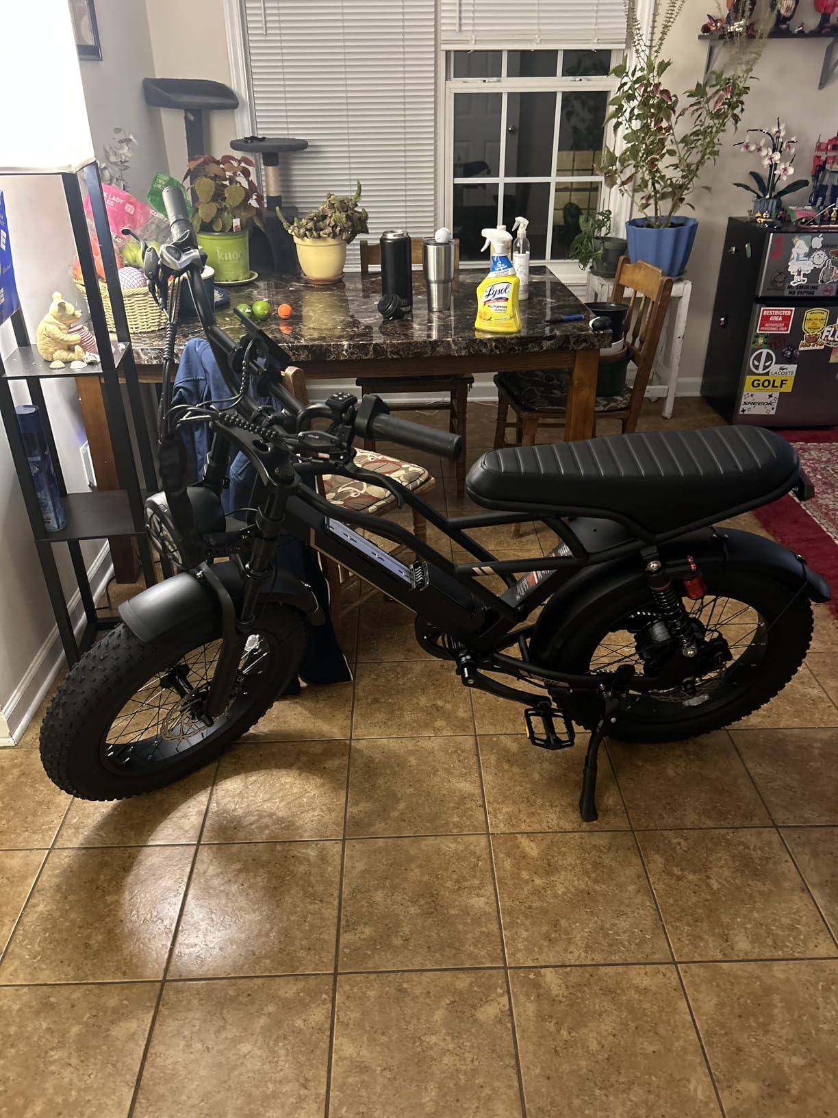 Electric Bike for Adults Teens,3000W/2000W Peak,20