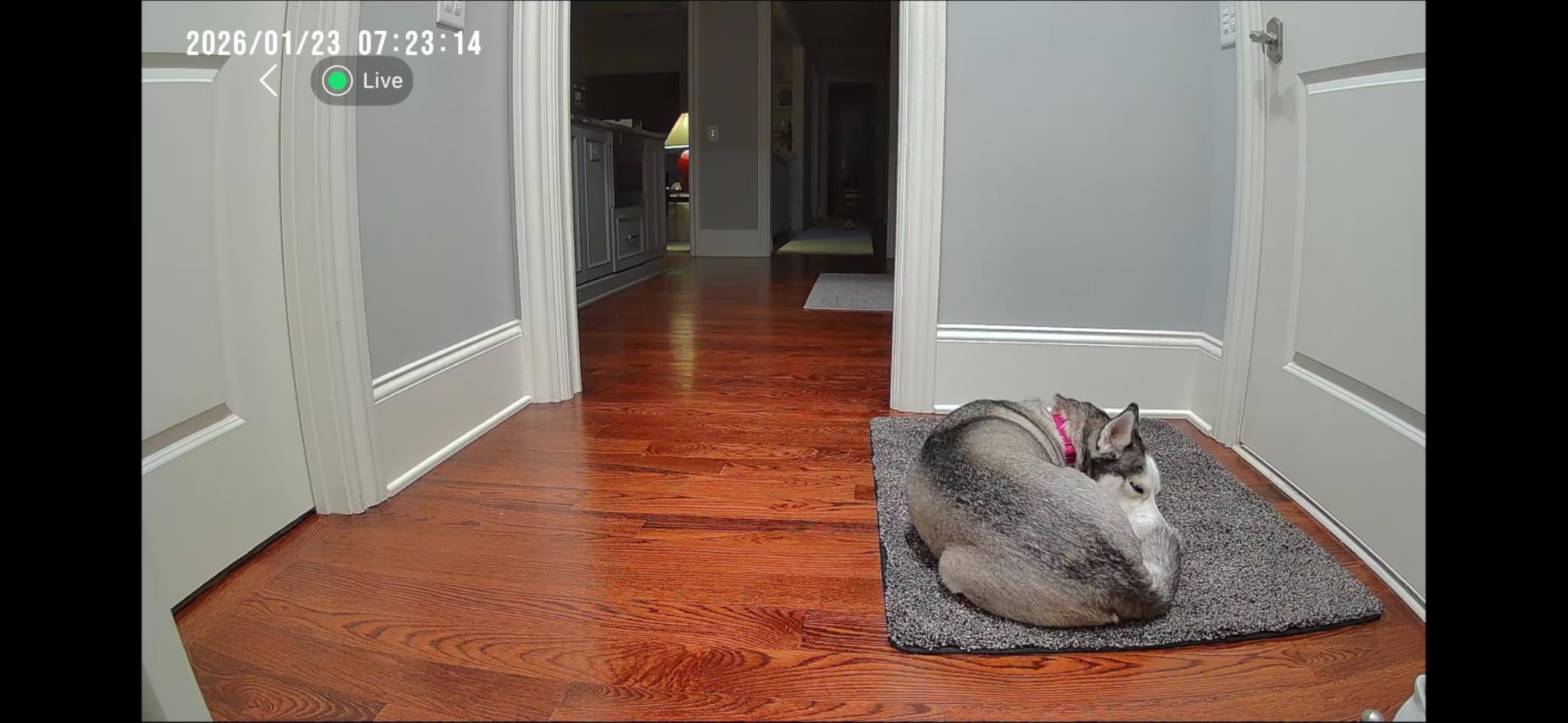 2K Pan/Tilt Security Camera, WiFi Indoor Cameras for Home Security with AI Motion Detection, Pet/Dog/Baby Camera with Phone App, 2-Way Audio, 24/7, Siren, TF/Cloud Storage customer photo 2