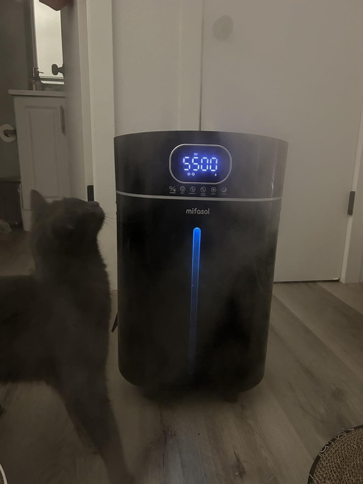 4.2Gal/16L Cool and Warm Mist Humidifier Large Room, Auto Restart Humidifiers for Home 1500 sqft, Air Humidifiers for Bedroom with Diffuser & Flame Light, Whole House Humidifiers for Baby Plant, Black customer photo 1