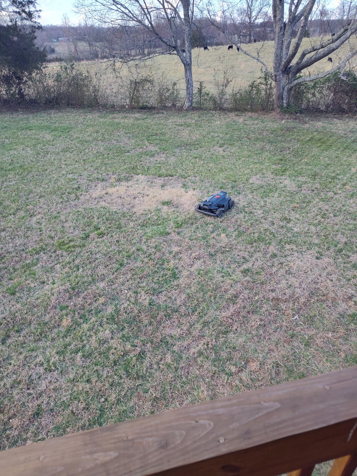 Segway Navimow X450 Robot Lawn Mower Wire Free, for up to 1.5 Acres, 4WD for 84% Slopes, Zero-Turn for Damage-Free Mowing, ORV-Tuned Lawnmower, MowMentum with 2 x 180W Motors, 0.75-4 in Cutting Height customer photo 1