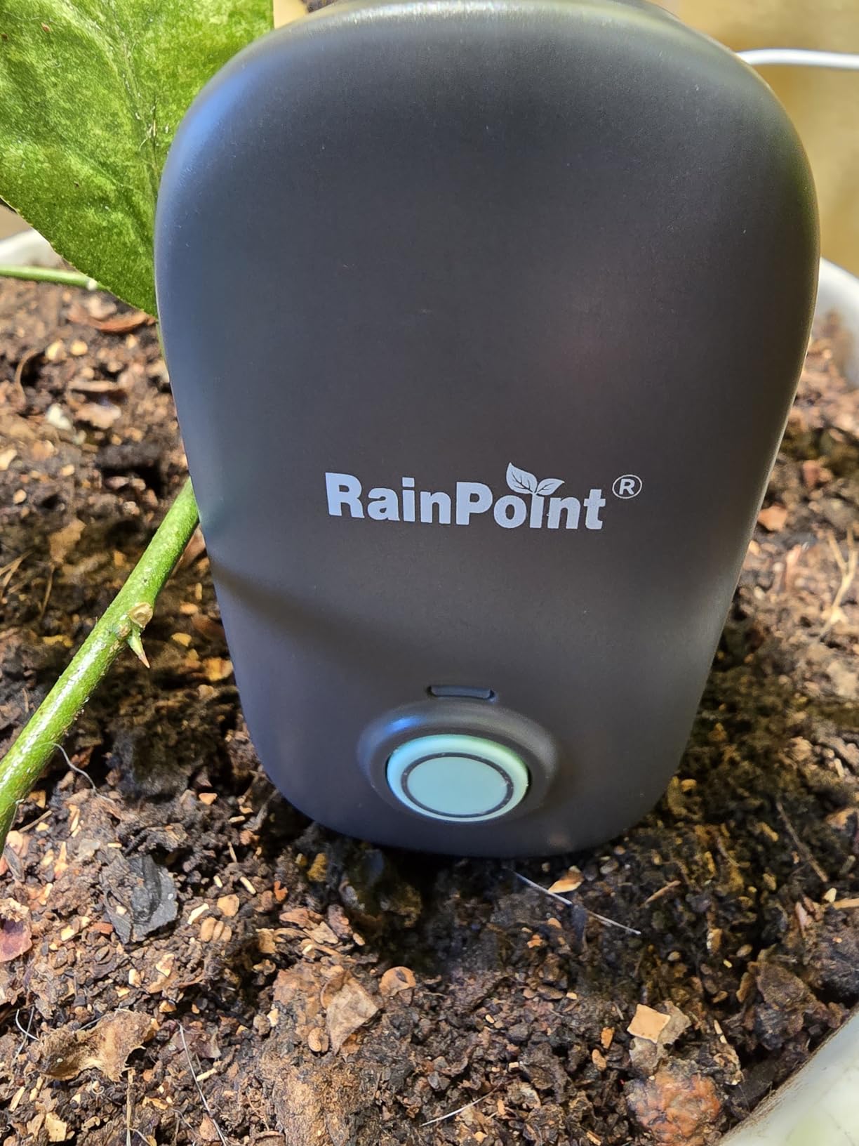 RAINPOINT Bluetooth 2-in-1 Soil Moisture & Air Temp Meter, App Remote Monitoring, 20 Plant Database, Compatible with WiFi Hub TWG009 & Water Timer ITV102b customer photo 1