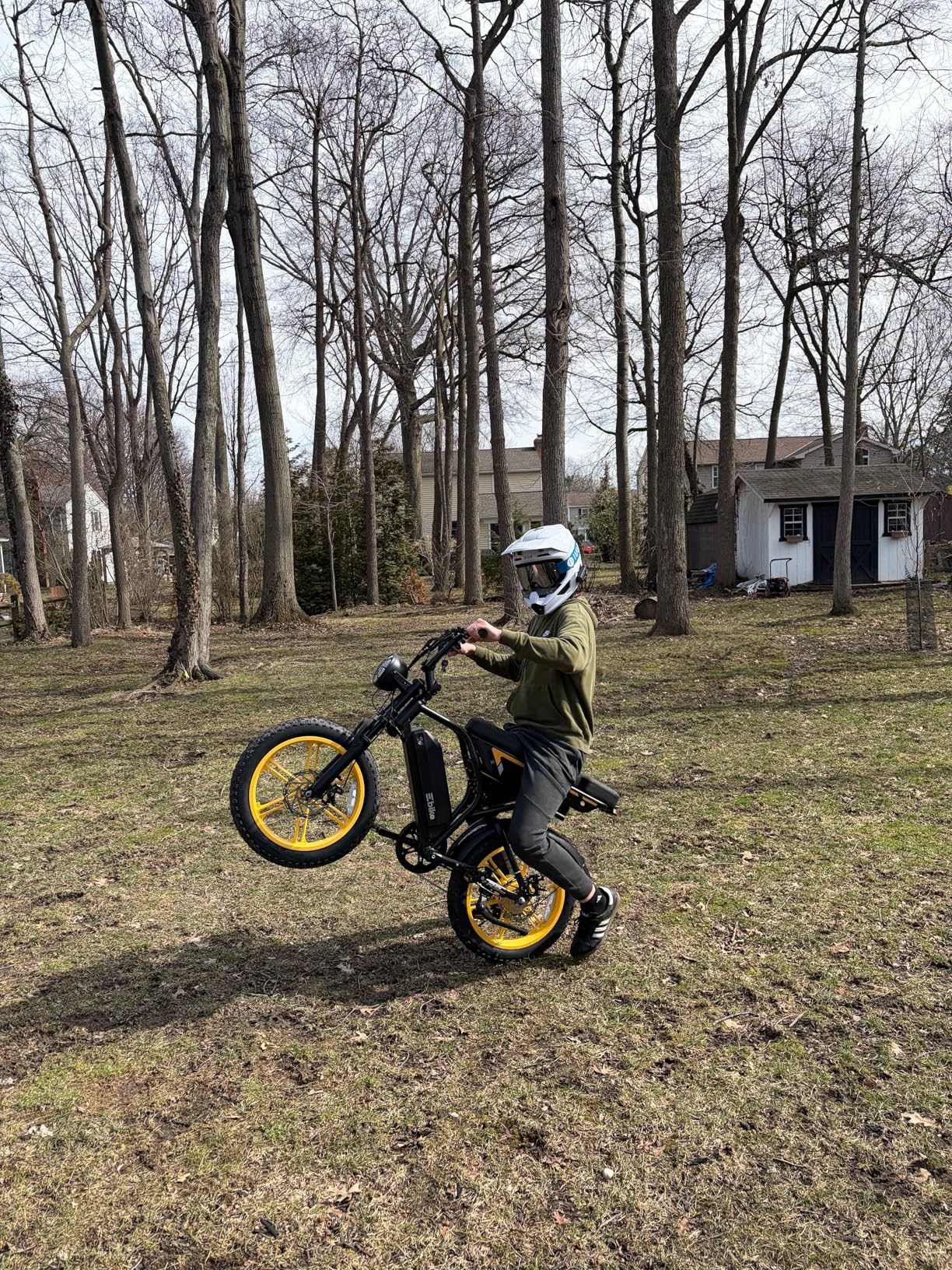 Electric Bike for Adults,1500W Peak Motor Retro E Bike,30MPH Max Speed,60/110 Miles Range,Removable 48V 15Ah Battery,20