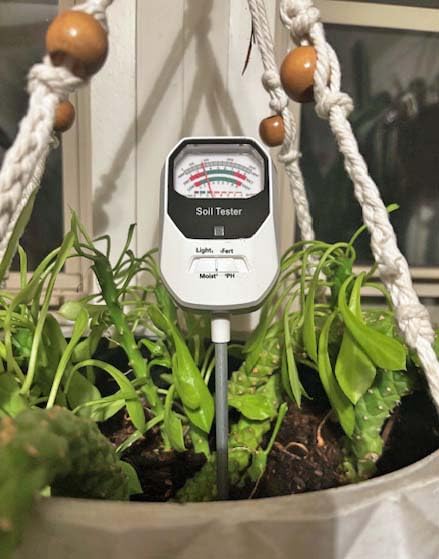 4-in-1 Soil Moisture Meter Soil Moisture/Fertility/PH Meter/Sunlight Intensity Soil Test Meter for Gardening, Farming and Outdoor Plants customer photo 1