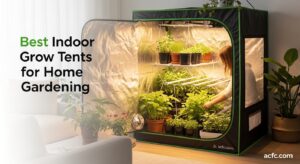 Best Indoor Grow Tents for Home Gardening