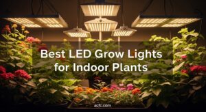 Best LED Grow Lights for Indoor Plants