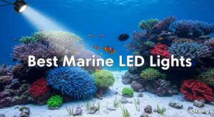 Best Marine LED Lights