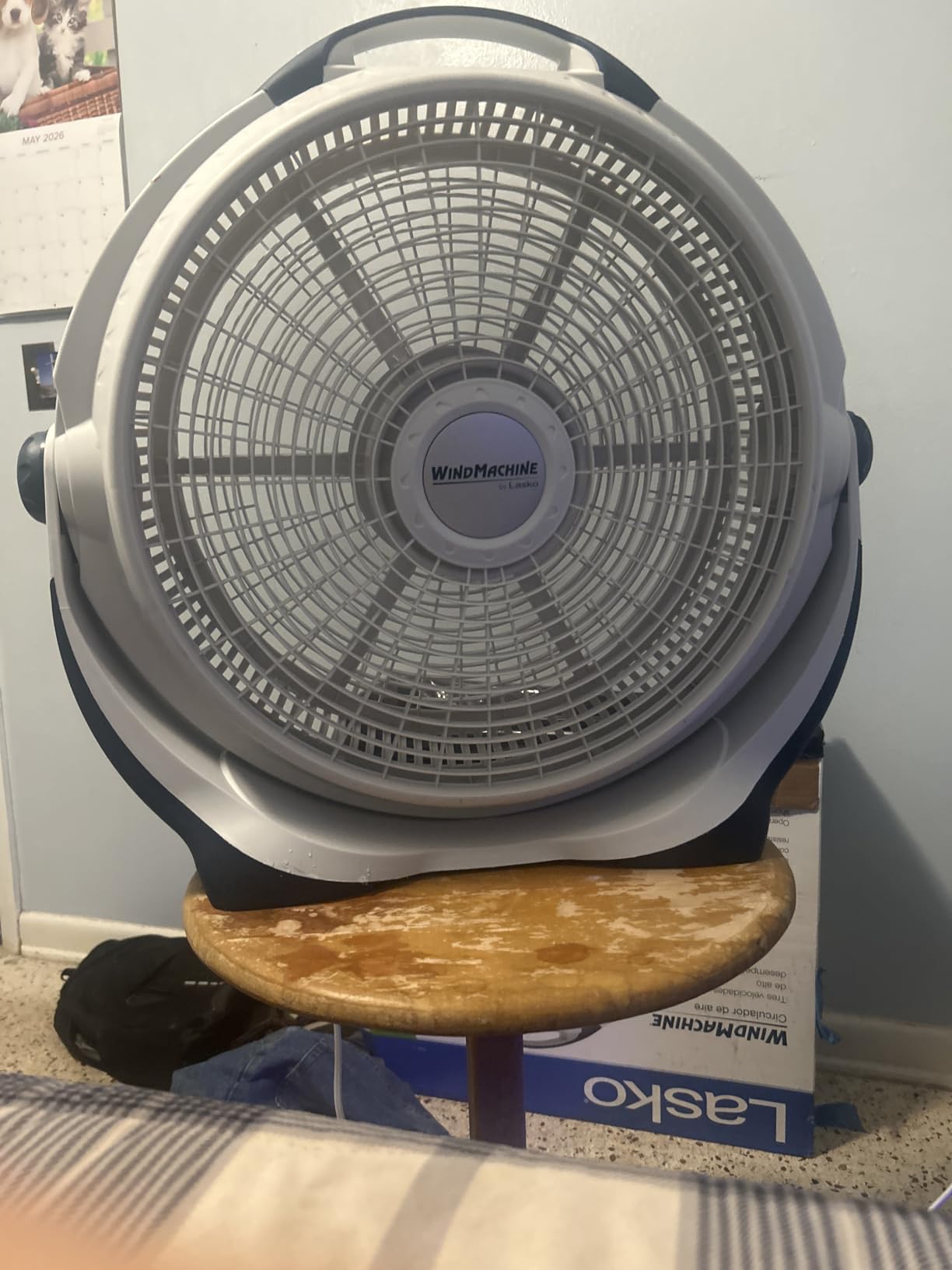 Lasko Wind Machine Fan, Air Circulator Fan with 3 Speeds, 20 Model 3300, Gray customer photo 1