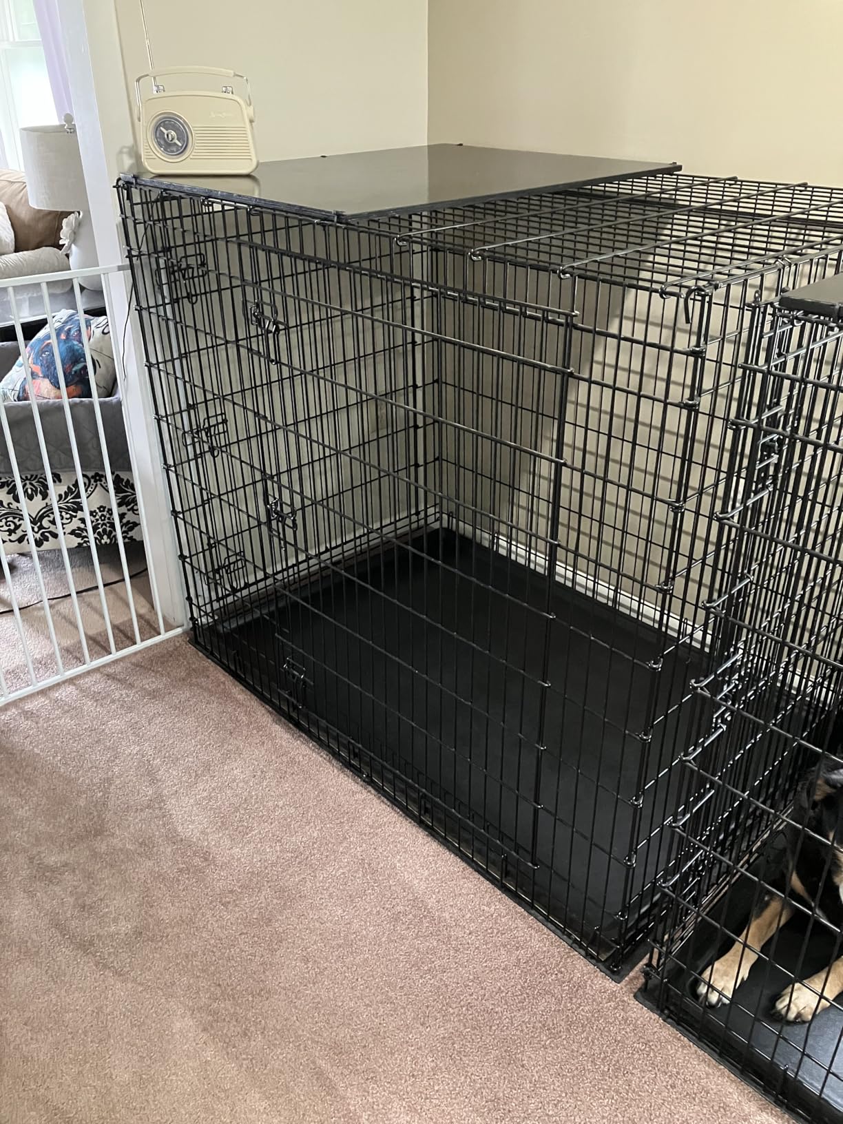 MidWest Homes for Pets 42-Inch iCrate for Large Breeds, 71-90 lbs, Single Door Folding Dog Crate with Divider Panel, Leak-Proof Tray & Secure Latch, Portable, Durable & Easy to Assemble customer photo 1