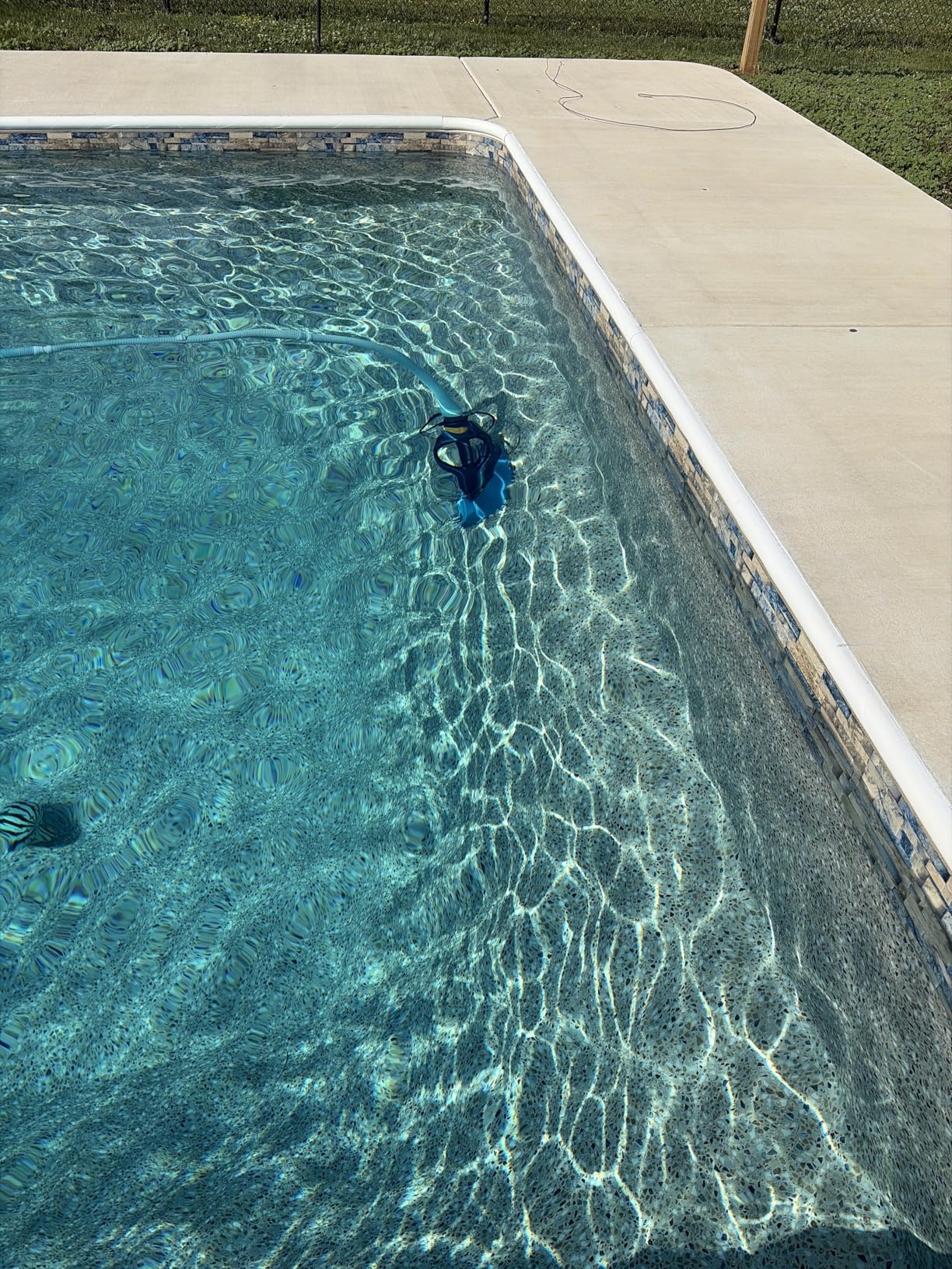 Zodiac Baracuda G3 Suction-Side Inground Vacuum Pool Cleaner customer photo 1