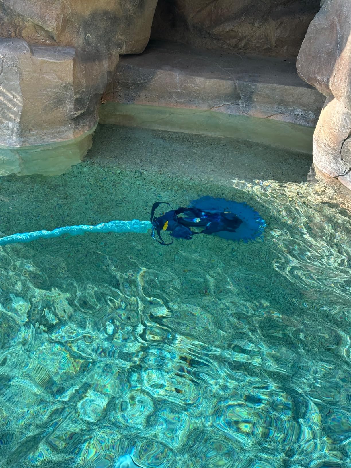 Zodiac Baracuda G3 Suction-Side Inground Vacuum Pool Cleaner customer photo 2