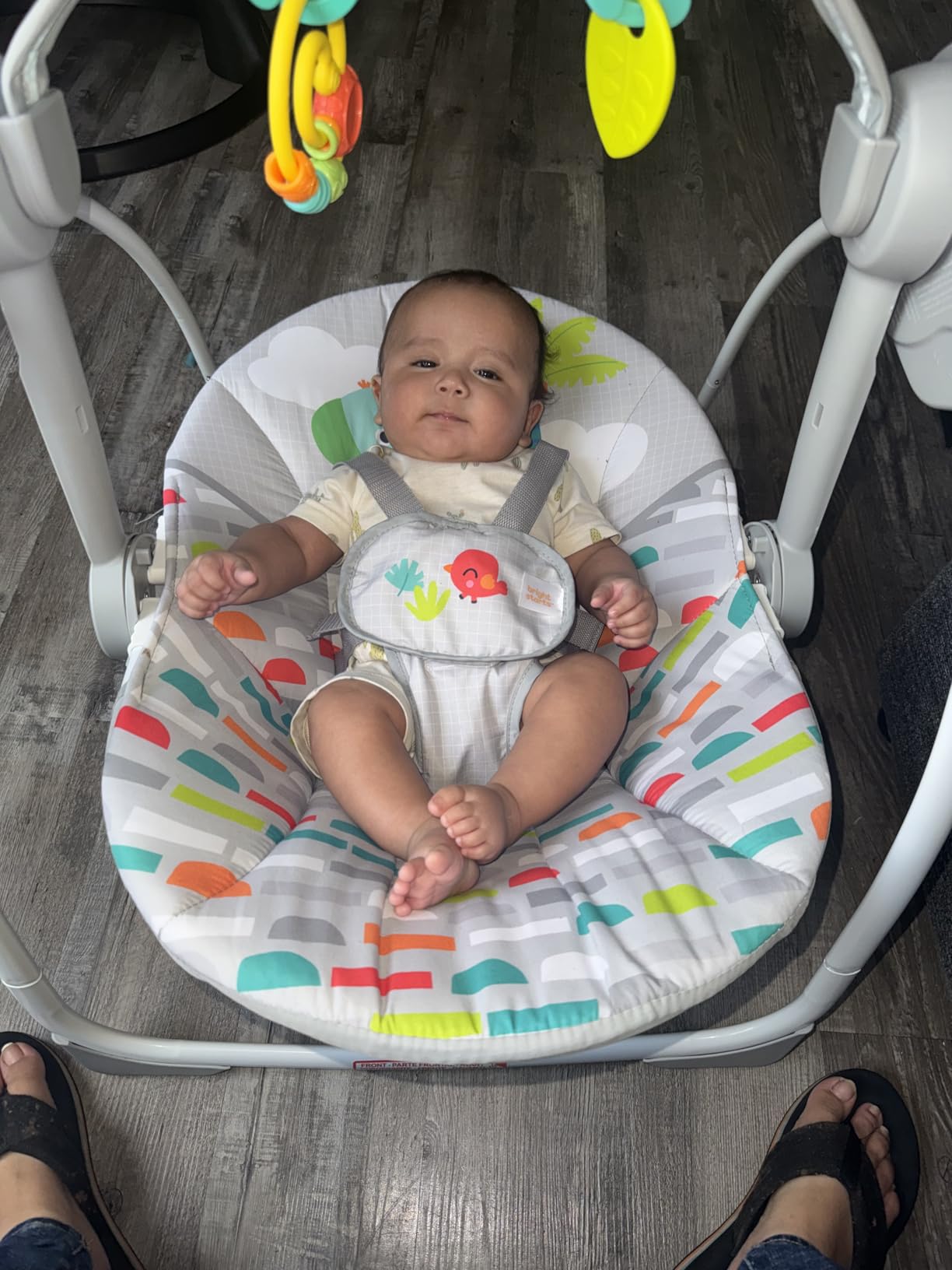 Bright Starts Whimsical Wild Portable Automatic 6-Speed Baby Swing with Taggies, Music, Removable Toy Bar customer photo 2
