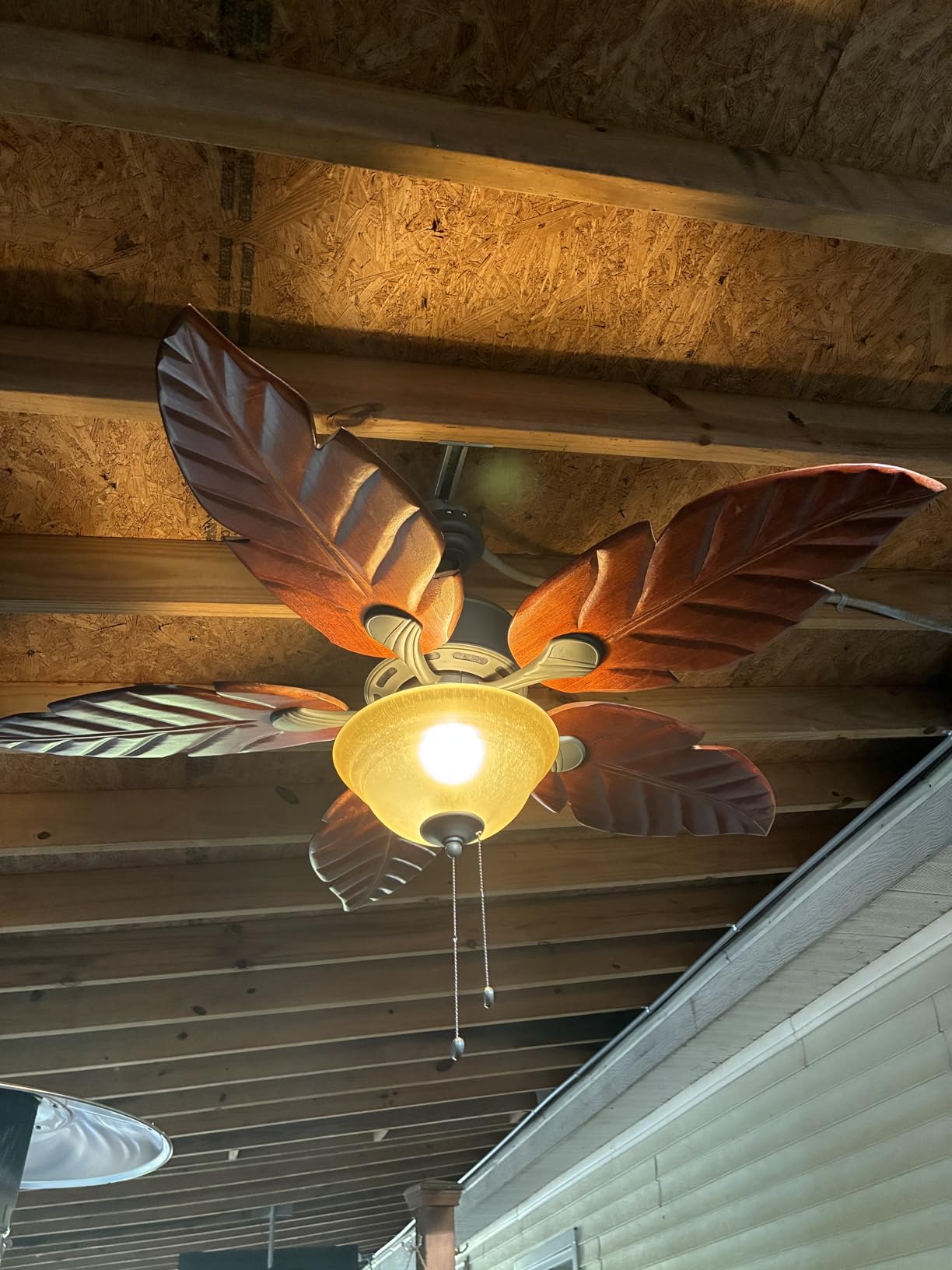 Honeywell Ceiling Fans Sabal Palm, 52 Inch Tropical LED Ceiling Fan with Light, Pull Chain, Dual Mounting Options, Hand Carved Solid Wood Blades - 50204-01 (Bronze) customer photo 1