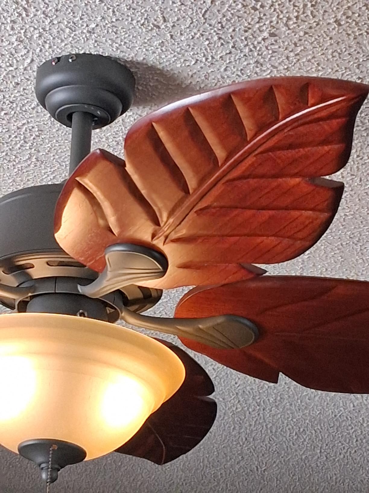 Honeywell Ceiling Fans Sabal Palm, 52 Inch Tropical LED Ceiling Fan with Light, Pull Chain, Dual Mounting Options, Hand Carved Solid Wood Blades - 50204-01 (Bronze) customer photo 2