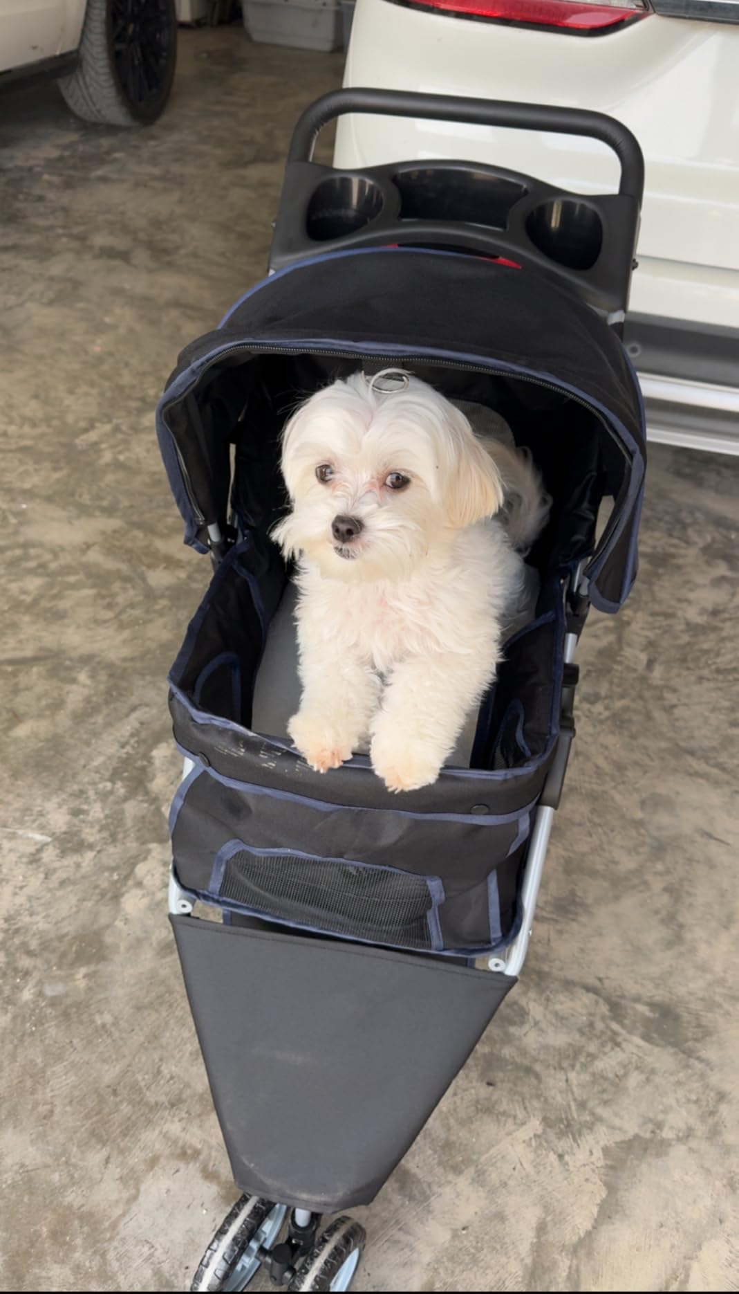 BestPet | 3-Wheel Pet Stroller | Dog and Cat Stroller | Breathable Mesh | Lightweight Travel Carrier | Waterproof & Foldable Design | Storage Basket | Black | for Daily Walks & Outdoor Use customer photo 1