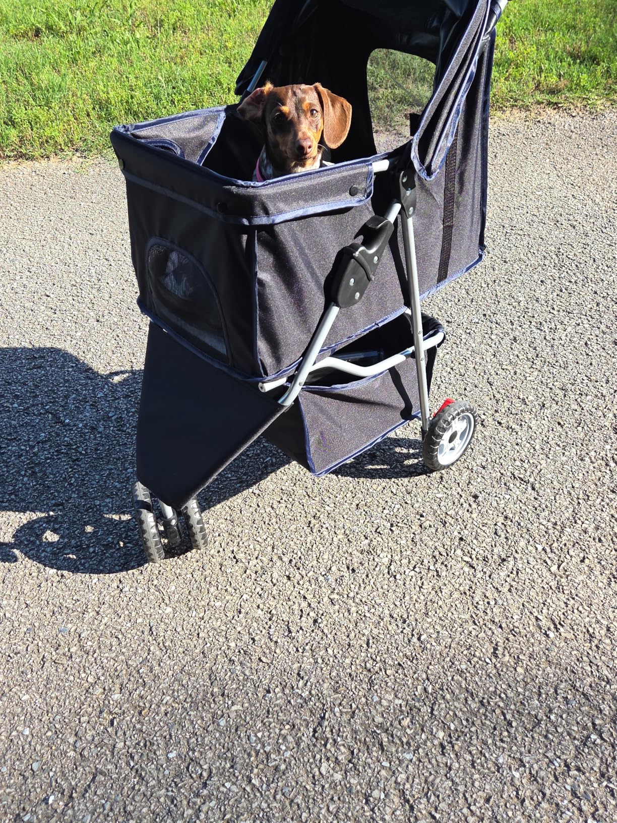 BestPet | 3-Wheel Pet Stroller | Dog and Cat Stroller | Breathable Mesh | Lightweight Travel Carrier | Waterproof & Foldable Design | Storage Basket | Black | for Daily Walks & Outdoor Use customer photo 2