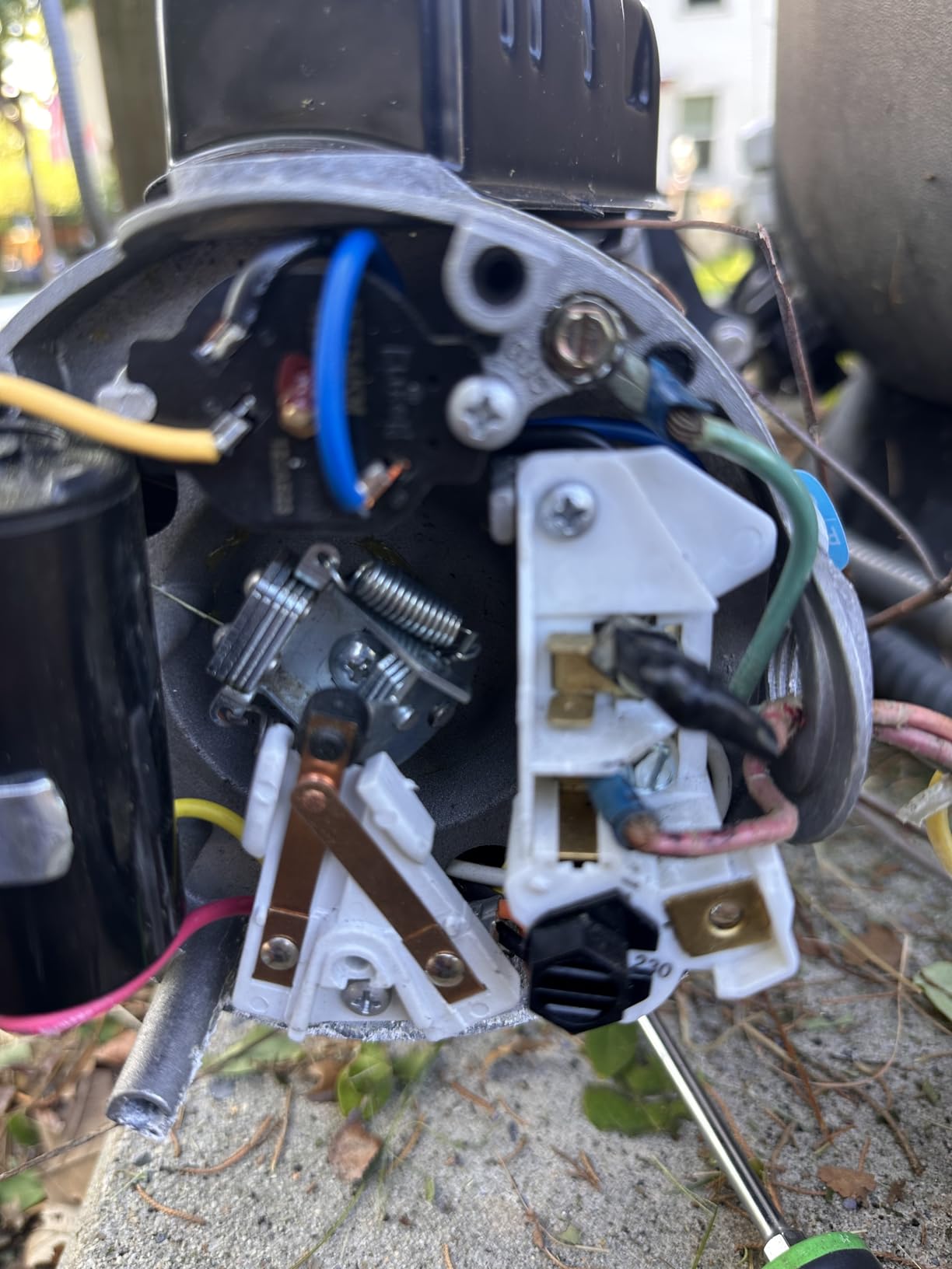 Doheny's Inground Swimming Pool Pro Pump | 1.5 HP, 115V/230V, 97 GPM | Self-Priming, Heavy-Duty, Low-Noise, High-Efficiency | Stainless Steel Shaft, Reinforced Thermoplastic, CSA & ETL Certified customer photo 2