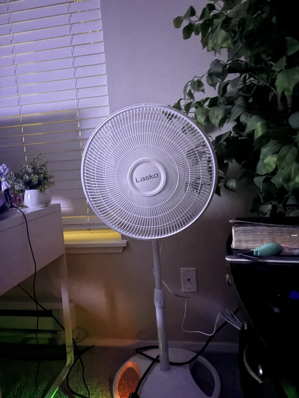Lasko 2520 Oscillating Stand Fan, White 16 Inch customer photo 1