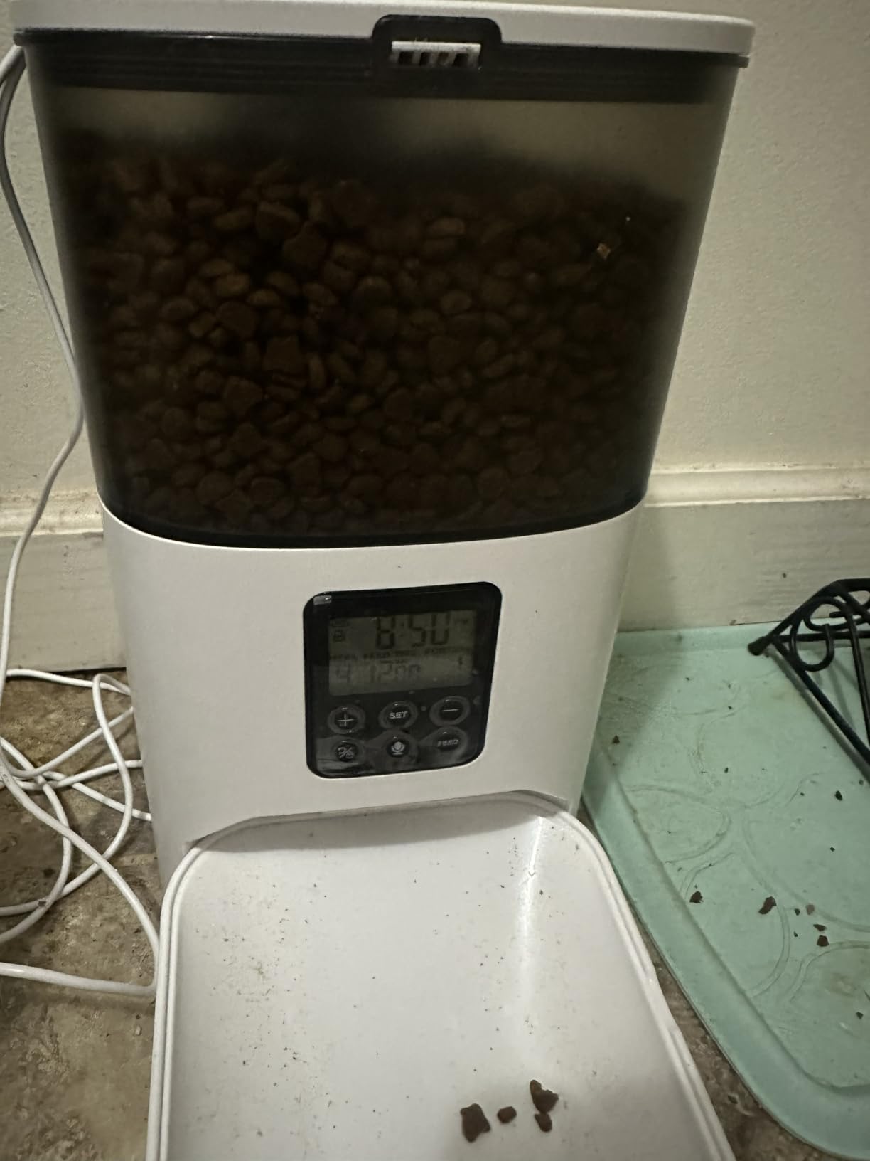 IAMS Proactive Health Dry Cat Food, Healthy Cat Food Dry Recipe for Adults, with Chicken 22 lb. Bag customer photo 2