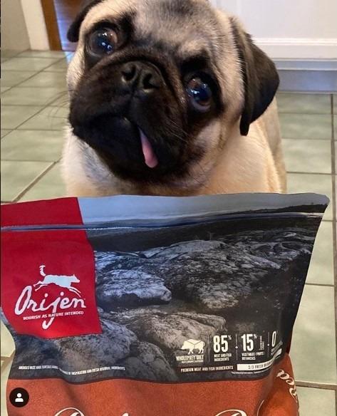 ORIJEN Grain Free High Protein Dry Dog Food Original Recipe, 23.5 lb Bag customer photo 2