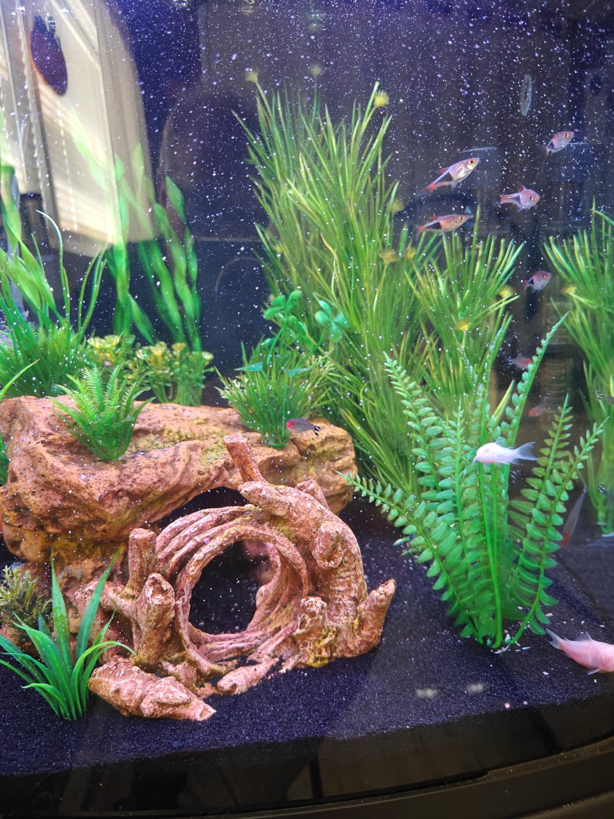 BioCube, Aquarium Kit, Nano Tank, Customizable LED Lighting, for Saltwater and Freshwater Environments, 16 Gallons customer photo 1