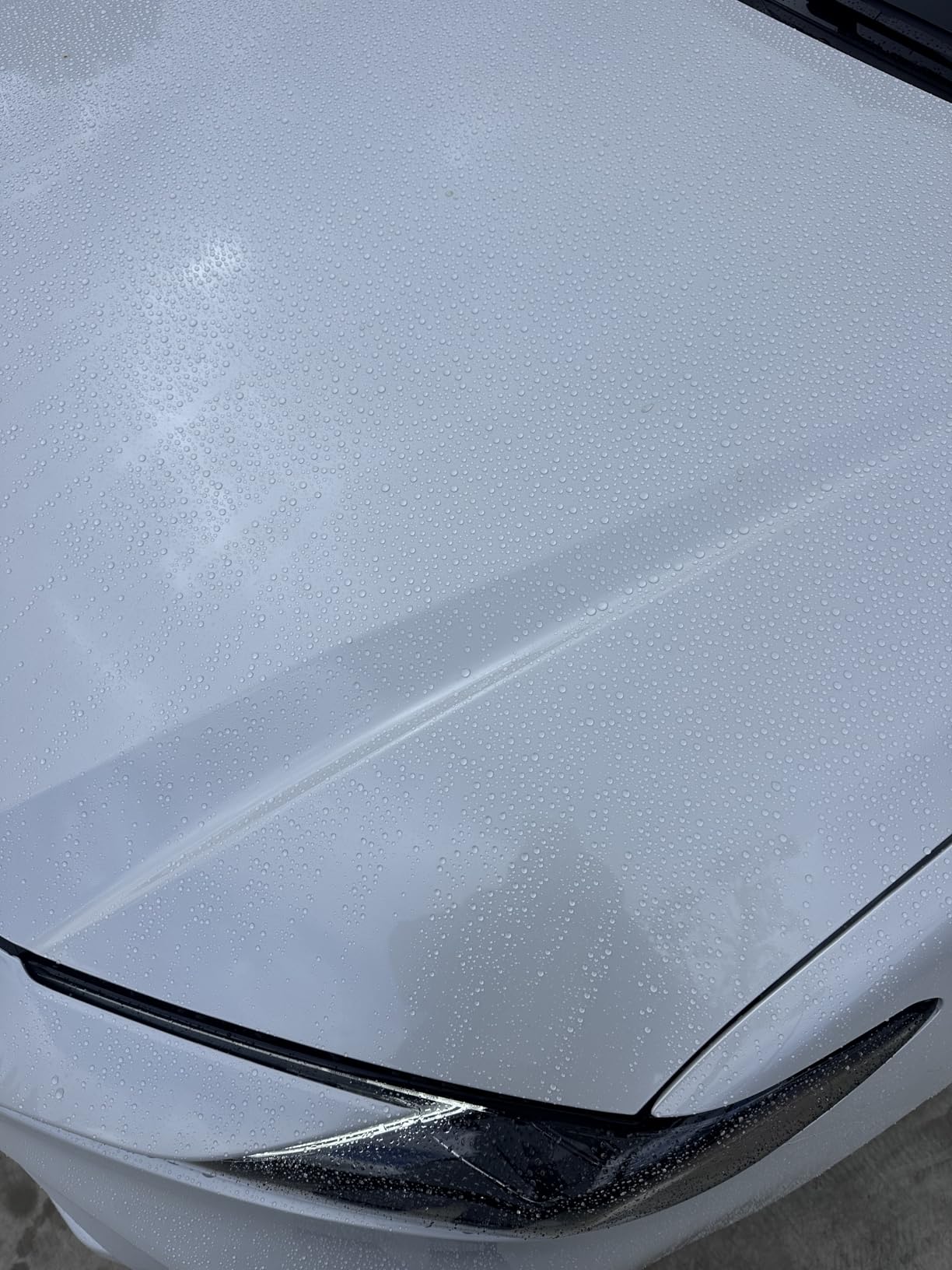 Meguiar's Hybrid Ceramic Wax, Easy-to-Use Spray Wax for Car Detailing with the Superior Protective Power of Advanced SiO2 Hybrid Barrier Technology, 26 Oz Spray Bottle customer photo 1