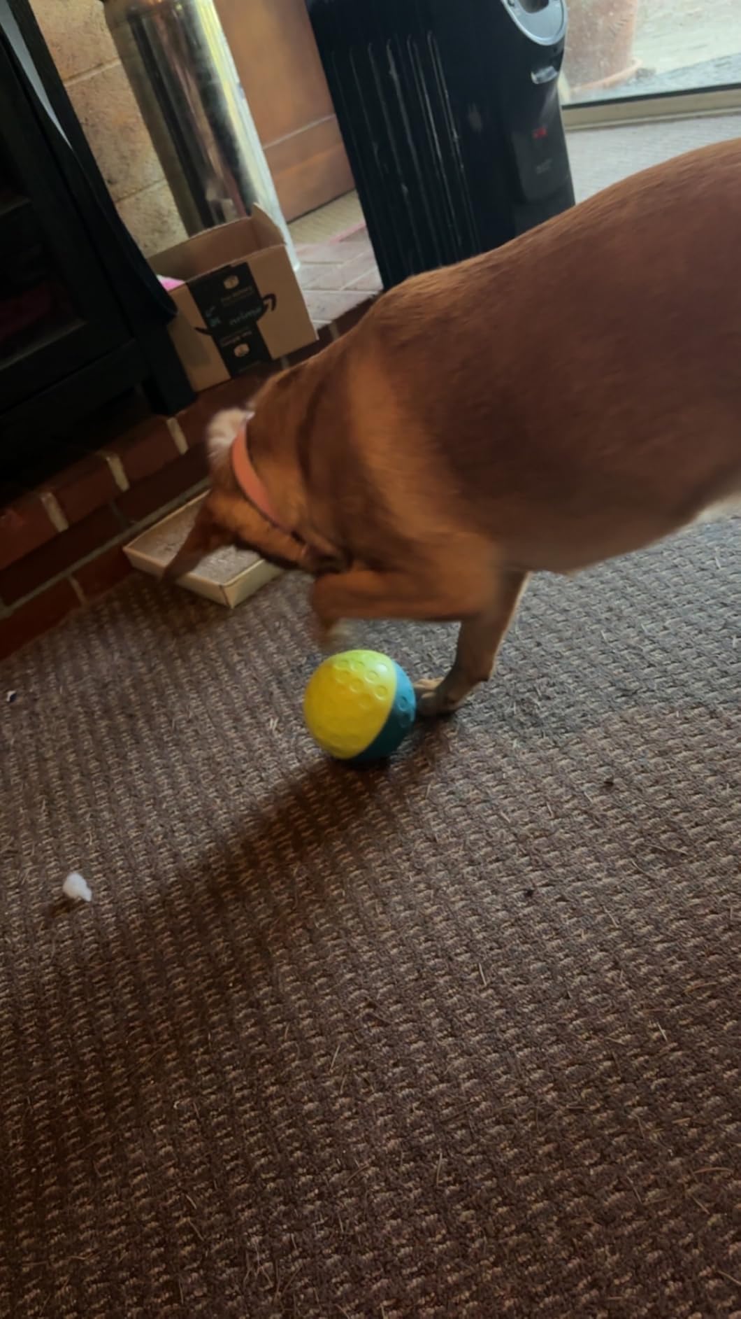 Outward Hound by Nina Ottosson Treat Tumble - Interactive Food-Dispensing Dog Puzzle Ball, Level 1 Beginner, Small, 4.8