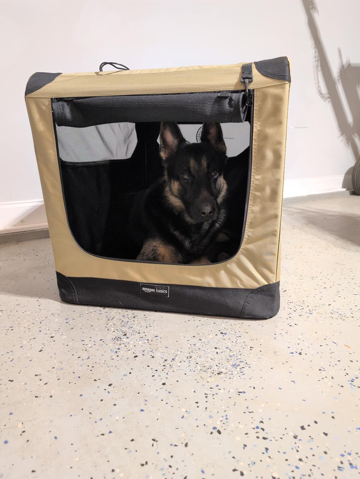 Amazon Basics Portable Folding Soft Dog Crate, Double Door, Collapsible Travel Kennel, Easy to Set Up, Sturdy, Secure, XL 42