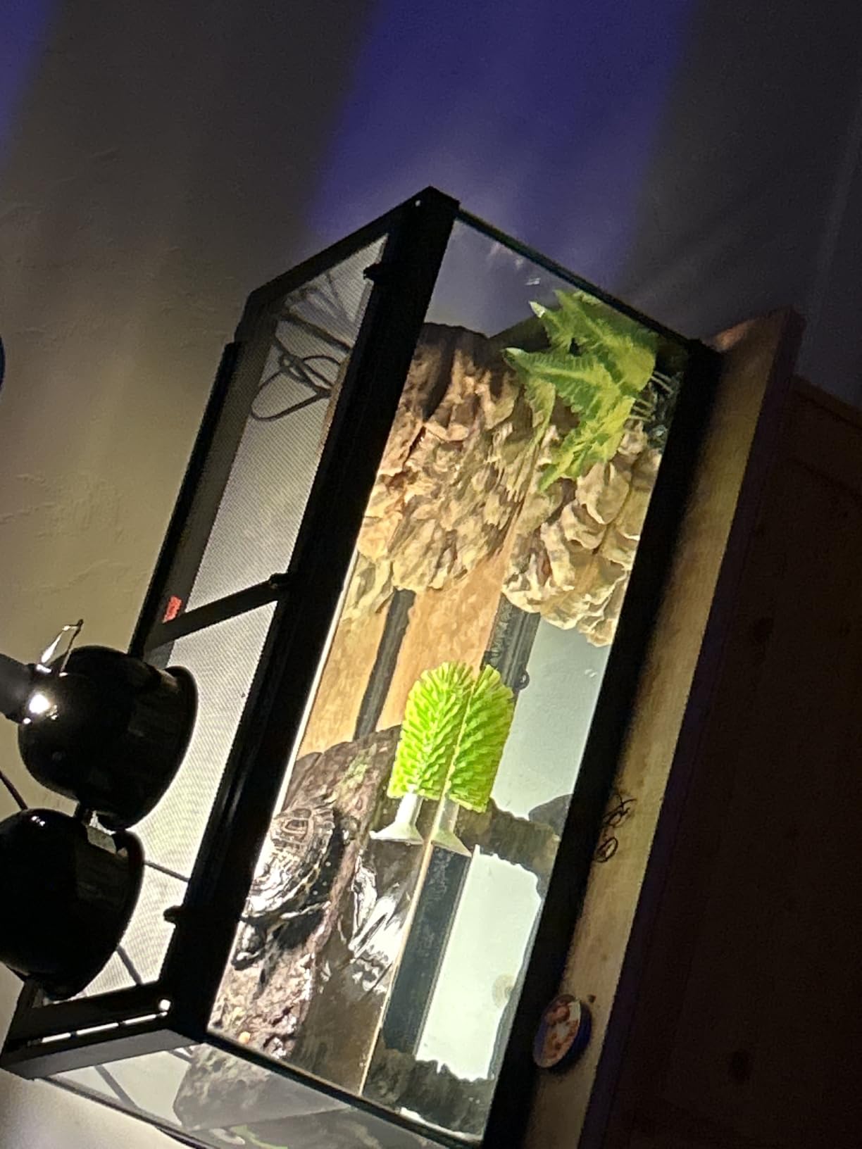 Tetra Aquatic Turtle Deluxe Kit 20 Gallons, Aquarium With Filter And Heating Lamps customer photo 1