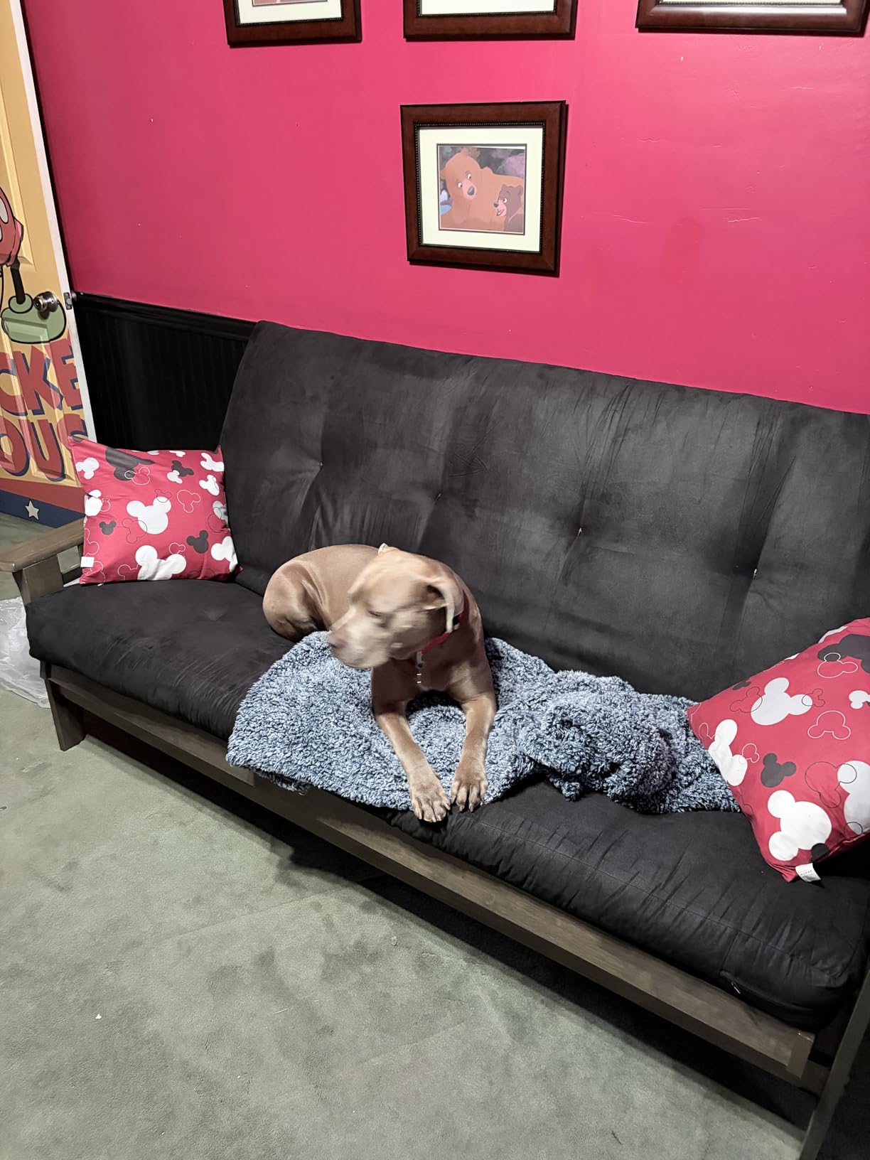 Kodiak Furniture Tucson Full Size Futon Frame, Rustic Walnut customer photo 1