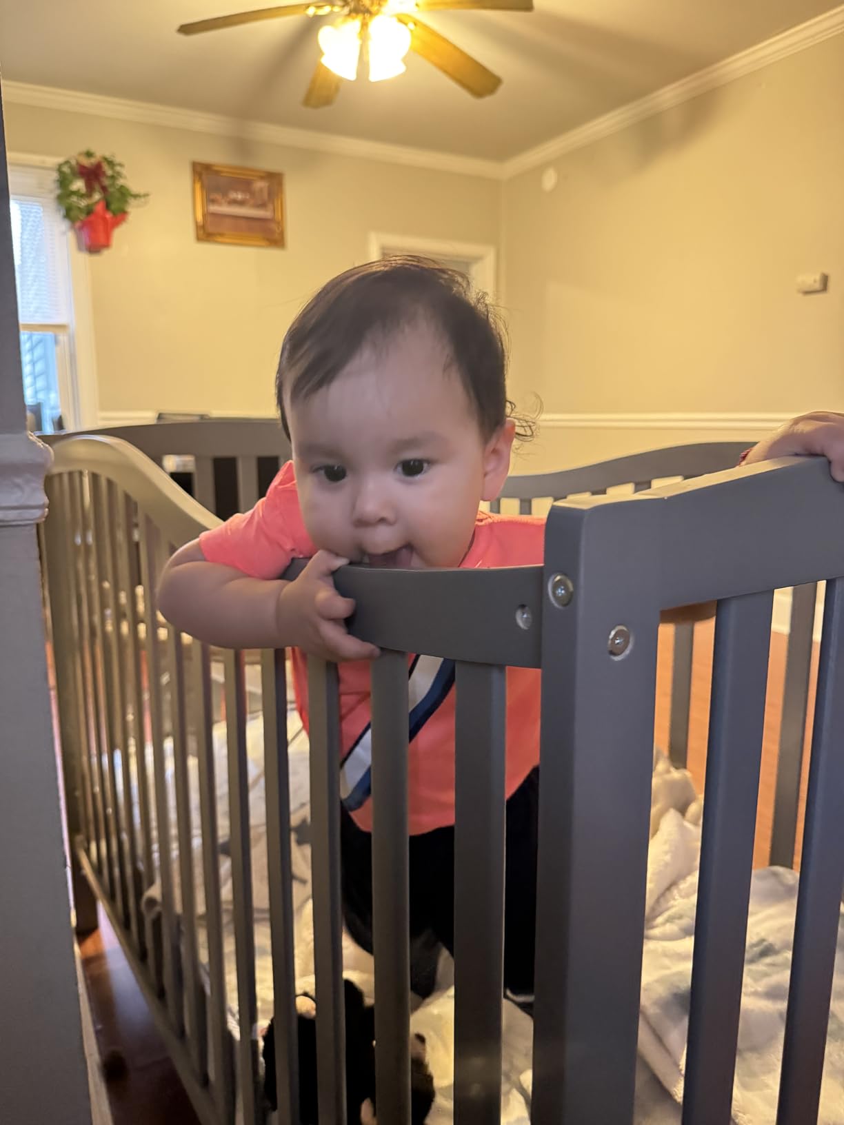 Dream On Me Chelsea 5-in-1 Convertible Full-Size Baby Crib in Steel Grey, GreenGuard Gold & BSA, Pinewood, 4 Mattress Heights, Converts to Toddler, Day & Full-Size Bed, Modern Classic Nursery customer photo 1