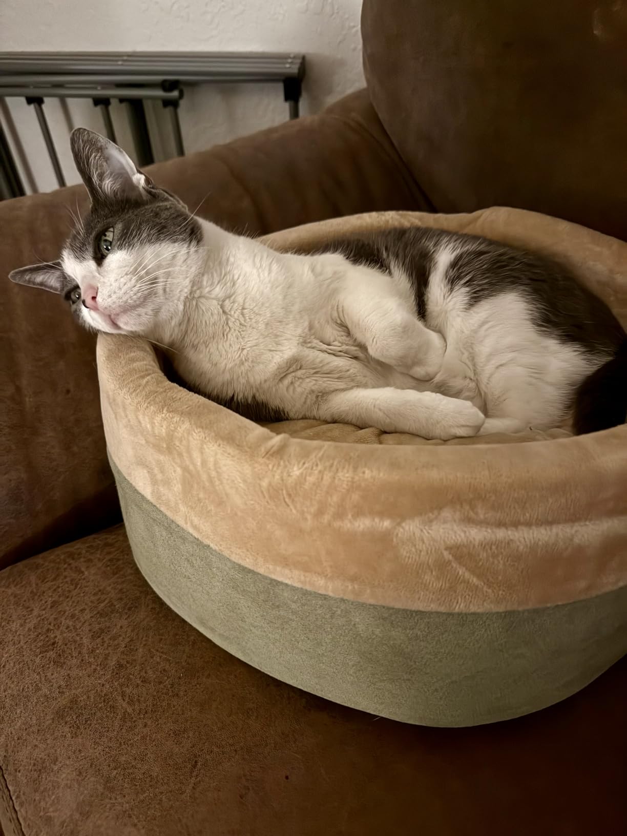 K&H Pet Products Heated Cat Bed for Indoor Cats, Dogs, and Pets - Round Walled Thermo-Kitty Bed with Removable Waterproof Cat Heating Pad, Machine Washable, MET Safety Listed - Small 16