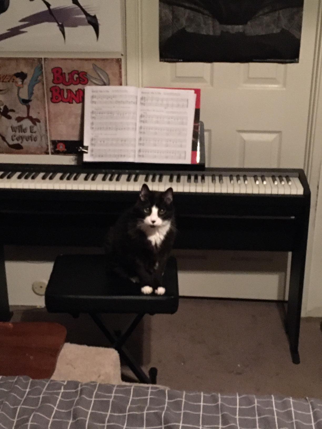 Roland FP-10 Compact 88-Note Digital Piano, SuperNATURAL Piano Tones, Authentic Acoustic Feel Keyboard, Bluetooth & MIDI Connectivity customer photo 2