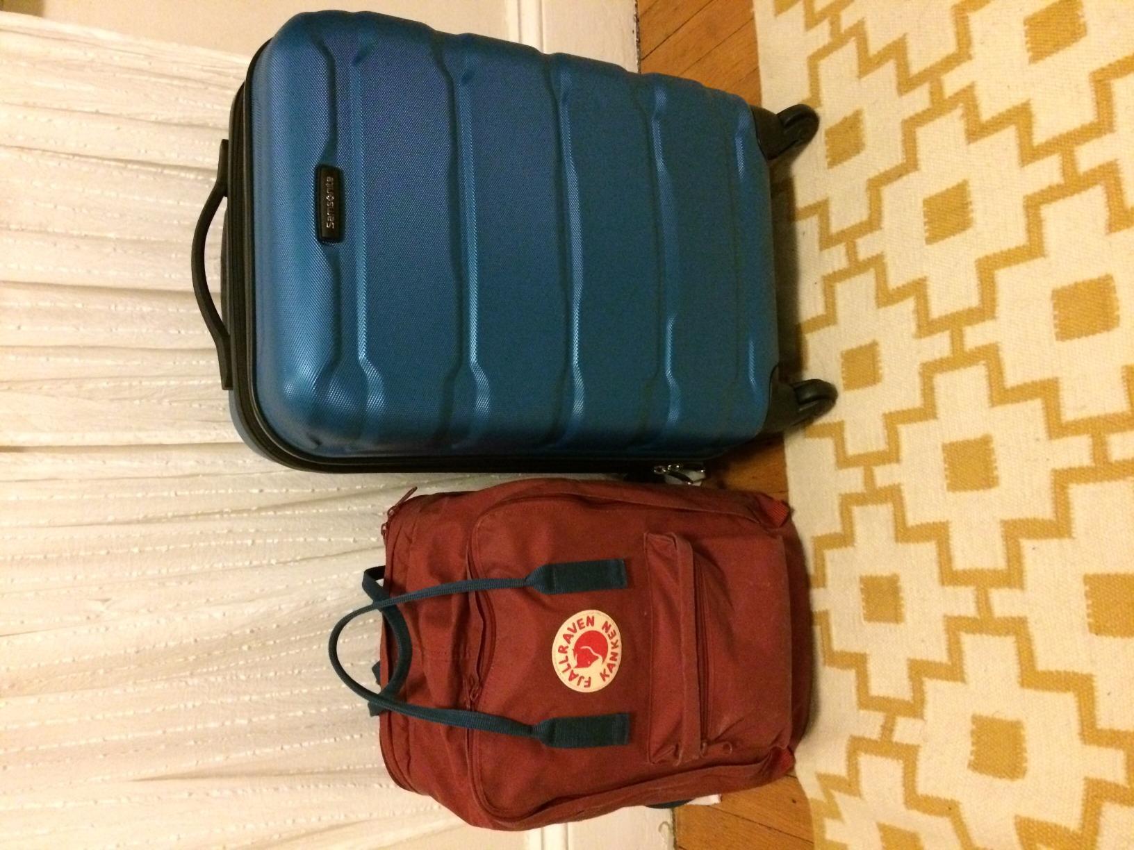 Samsonite Omni PC Hardside Expandable Luggage with Spinner Wheels, Silver, 2-Piece Set (20/24) customer photo 1