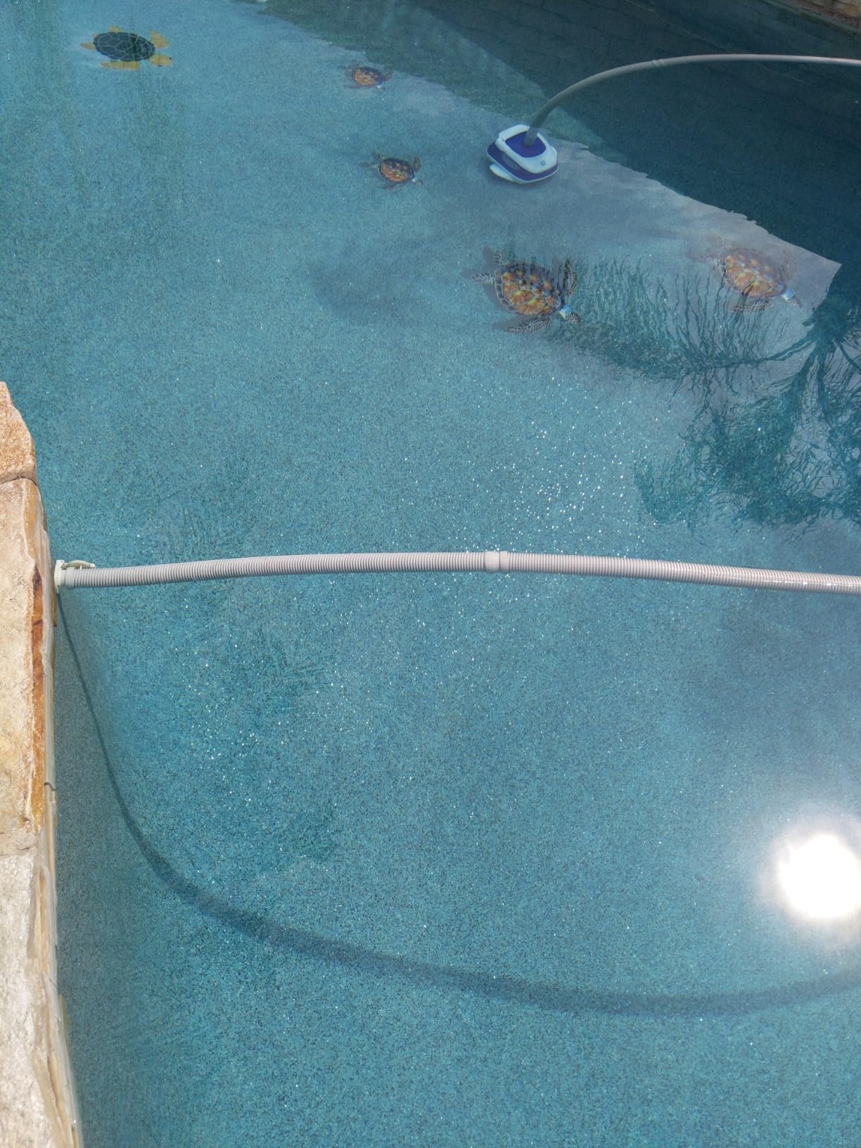 Hayward Navigator Pro Automatic Pool Vacuum for Inground Pools (Pool Cleaner for Gunite Surfaces up to 20 x 40 ft) W3925ADC customer photo 2