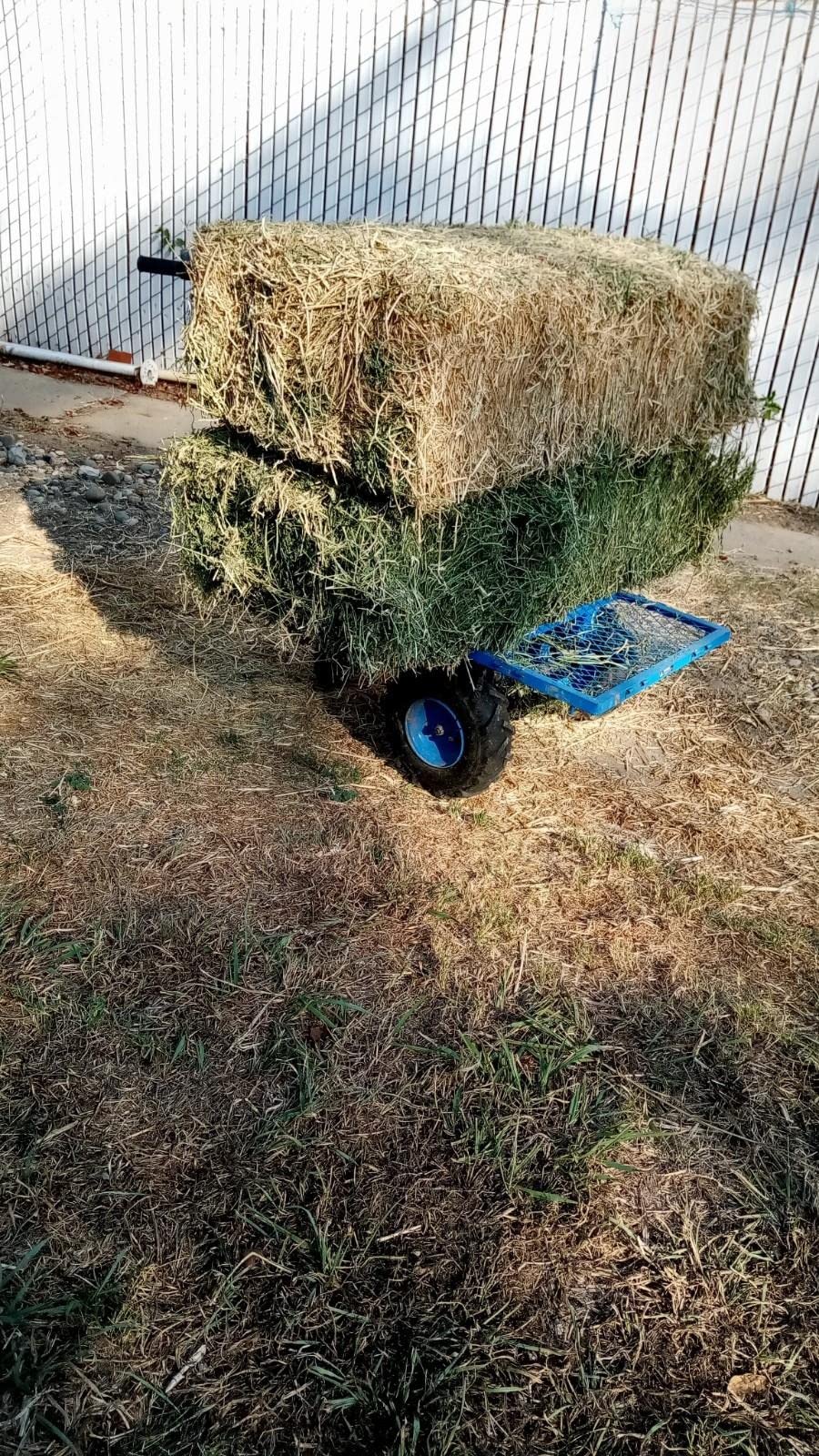 Landworks Utility Service Cart Wheelbarrow Power Wagon, Super Duty Electric 48V DC Li-Ion Battery Powered, 500 lbs Load & 1000+ lbs Hauling Capacity, Farm & Garden Dump with Modular Cargo Bed customer photo 1