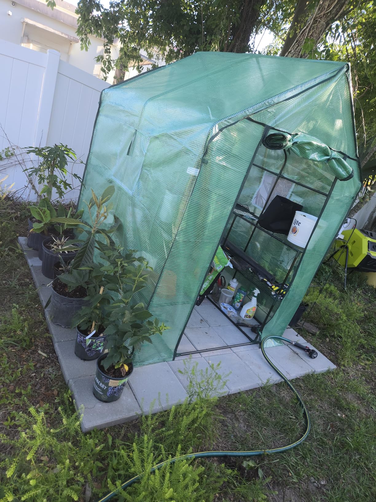 Ohuhu Greenhouse for Outdoors with Screen Windows, 57 x 57 x 76'' Walk in Plant Greenhouses Heavy Duty with Durable PE Cover, 3 Tiers 12 Shelves Stands Plastic Portable Green House with Shelf Clips customer photo 2