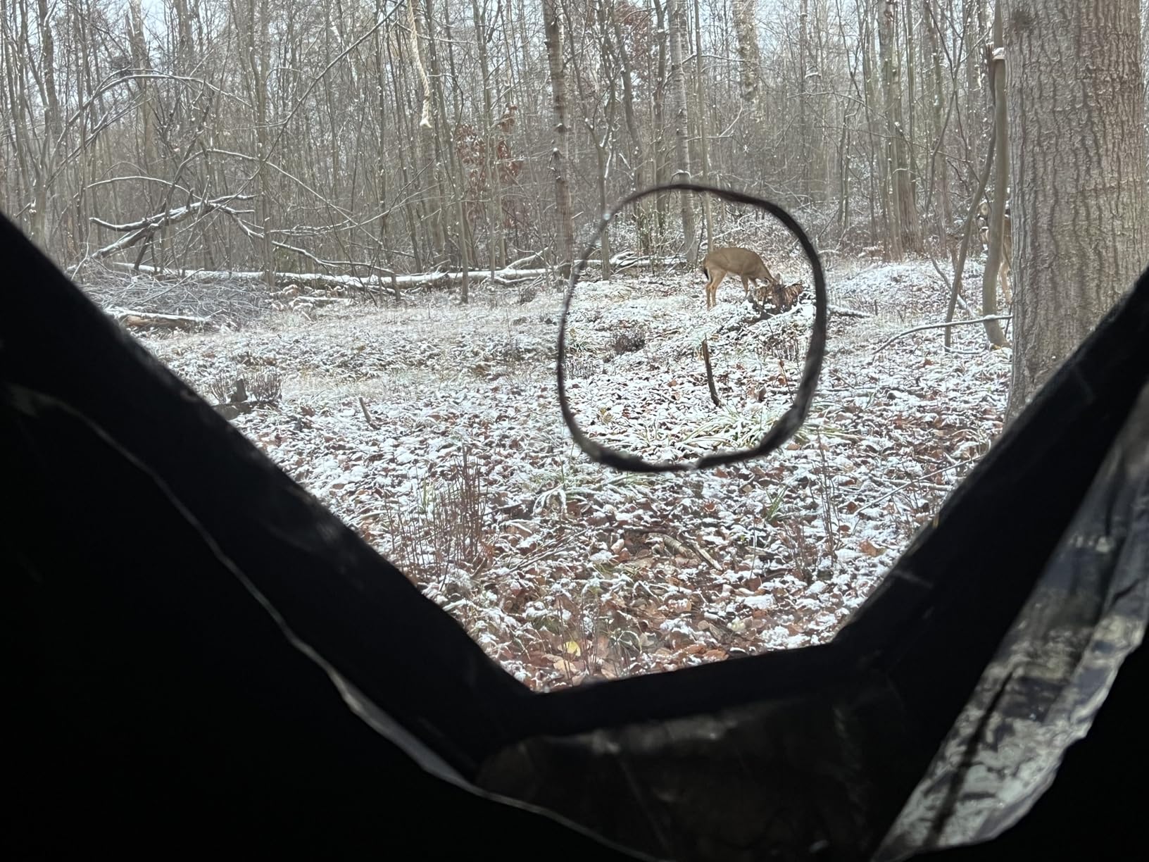 Ameristep Brickhouse Hunting Blind | 3-Person Ground Blind in Mossy Oak Break-Up Country, One Size | 3-Person Hub Ground Blind, Durashell Plus Shell, Shadowguard Interior, 10 Shoot-Through Windows, 59x59x67 in customer photo 2