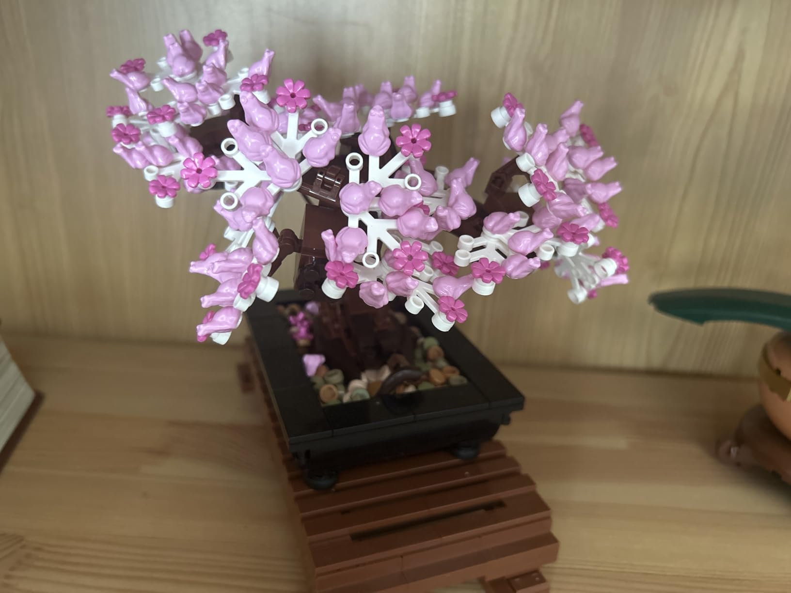 LEGO Botanicals Bonsai Tree Building Set (10281) customer photo 2
