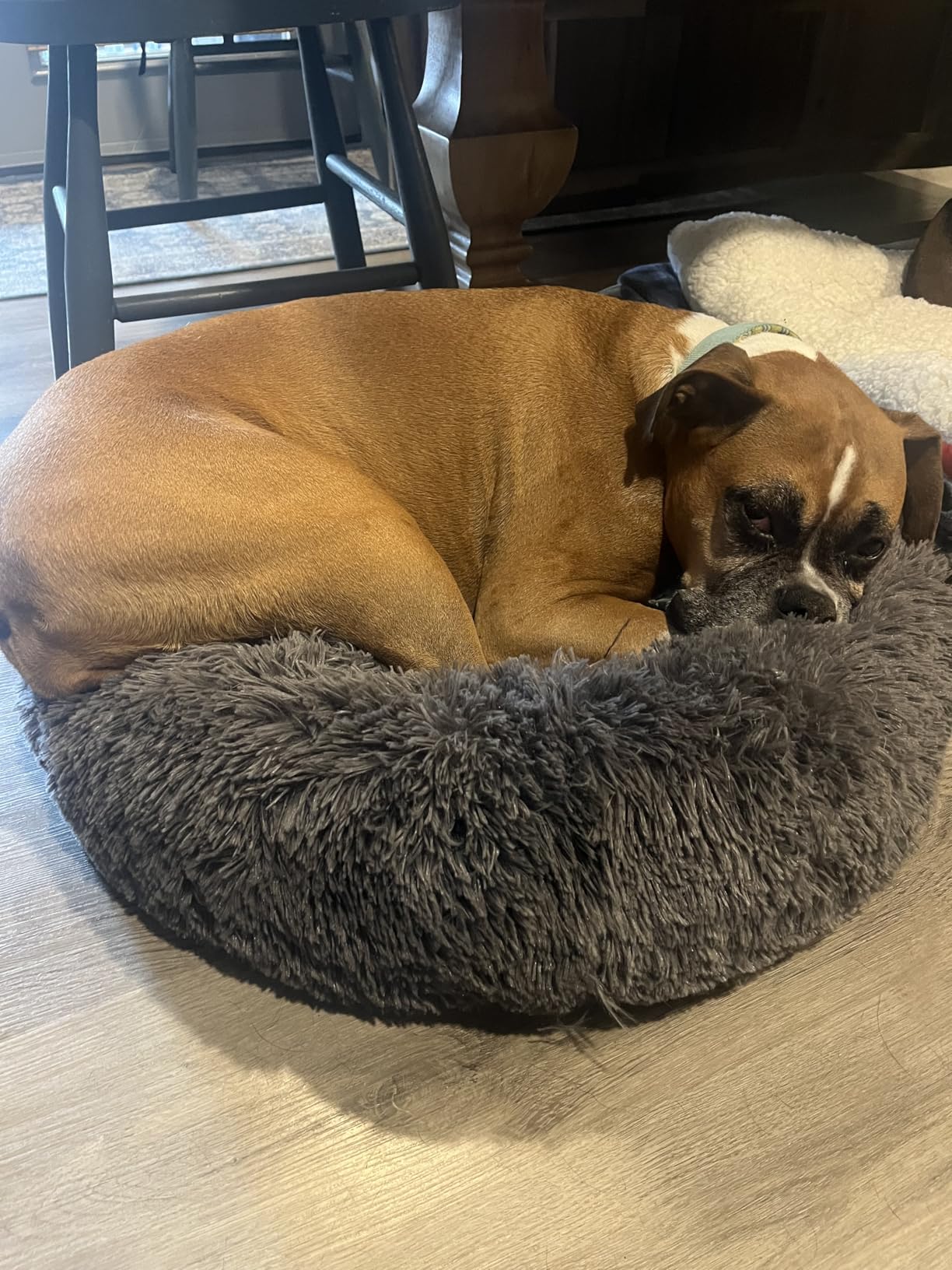 Bedsure Calming Dog Beds Large Sized Dog - Donut Washable Large Pet Bed, 36 inches Anti-Slip Round Fluffy Plush Faux Fur Dogs Bed, Fits up to 80 lbs Pets, Camel customer photo 1