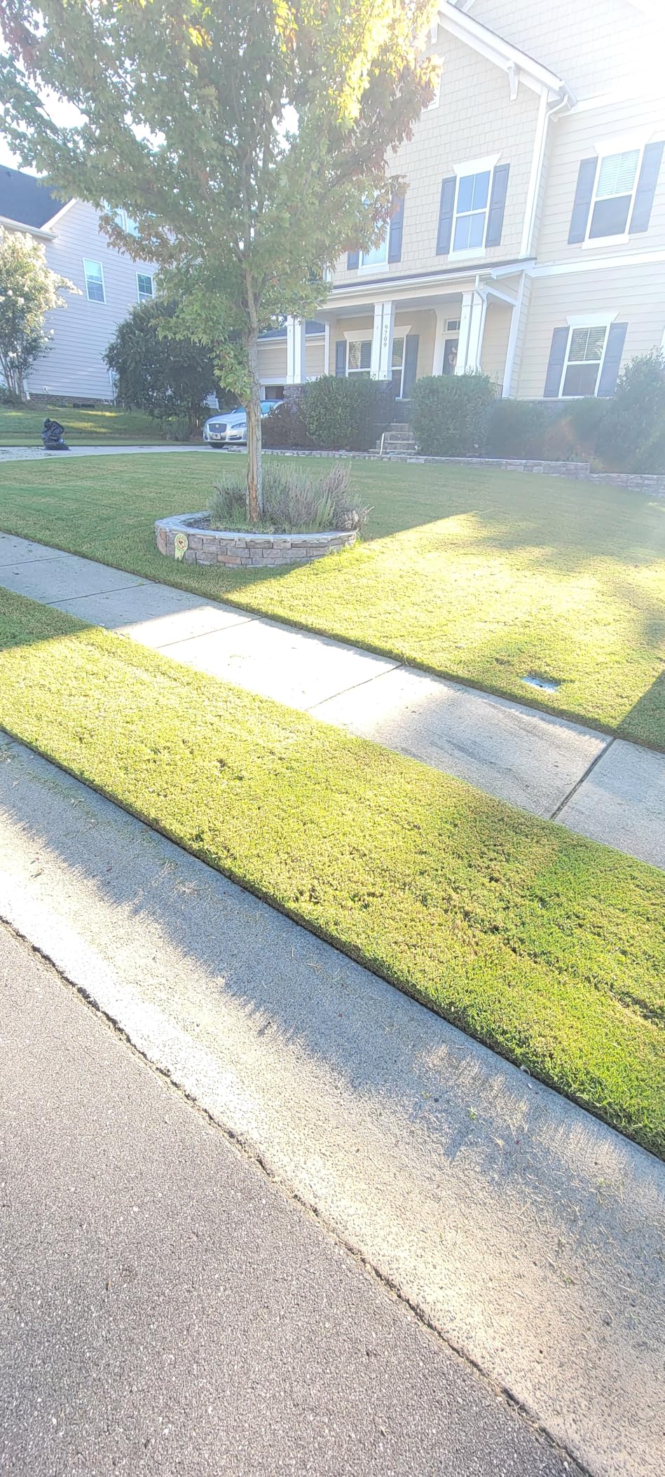 Litheli Cordless Lawn Mower 17 Inch, 2 x 20V 4.0Ah Battery Lawn Mowers with Brushless Motor, Bagging & Mulching, Charger Included customer photo 2