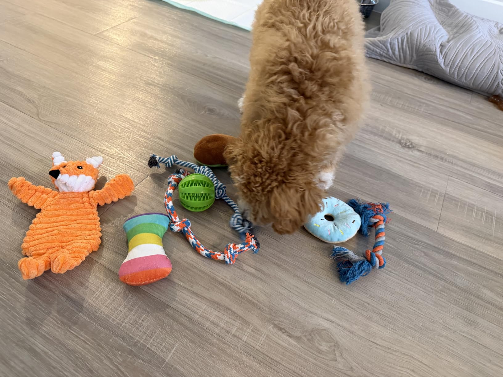 Zeaxuie 9 Pack Luxury Puppy Toys for Teething Small Dogs, Puppy Chew Toys with Cute Squeaky Dog Toys, Ball and More Rope Dog Chew Toys customer photo 2