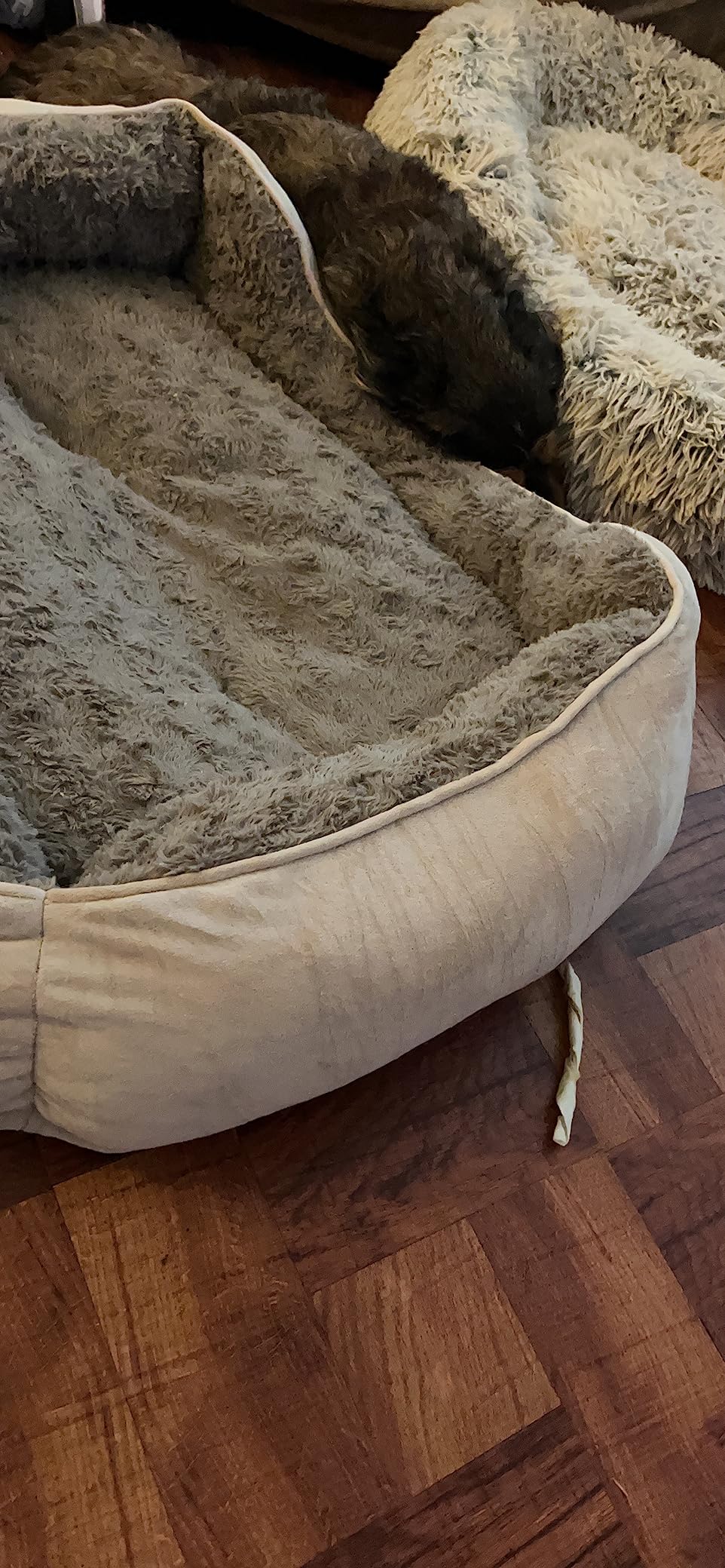 JOEJOY Rectangle Dog Bed for Large Medium Small Dogs - Washable Orthopedic Sofa Bed, Soft Breathable Puppy & Pet Cuddler, Durable Calming Dog Bed with Anti-Slip Bottom, Multiple Sizes, Beige customer photo 1