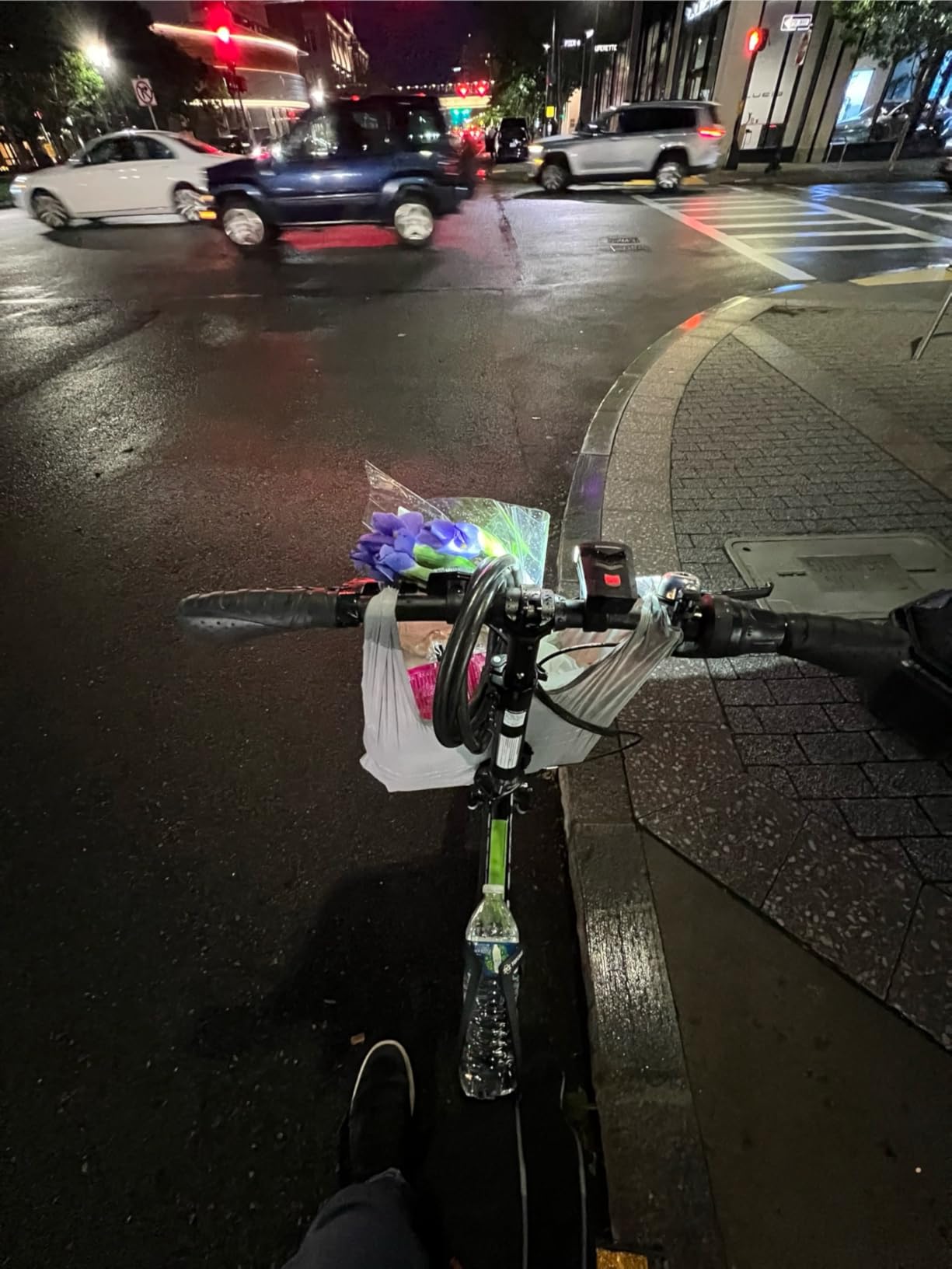 ZiZZO Ferro Folding Bike customer photo 1