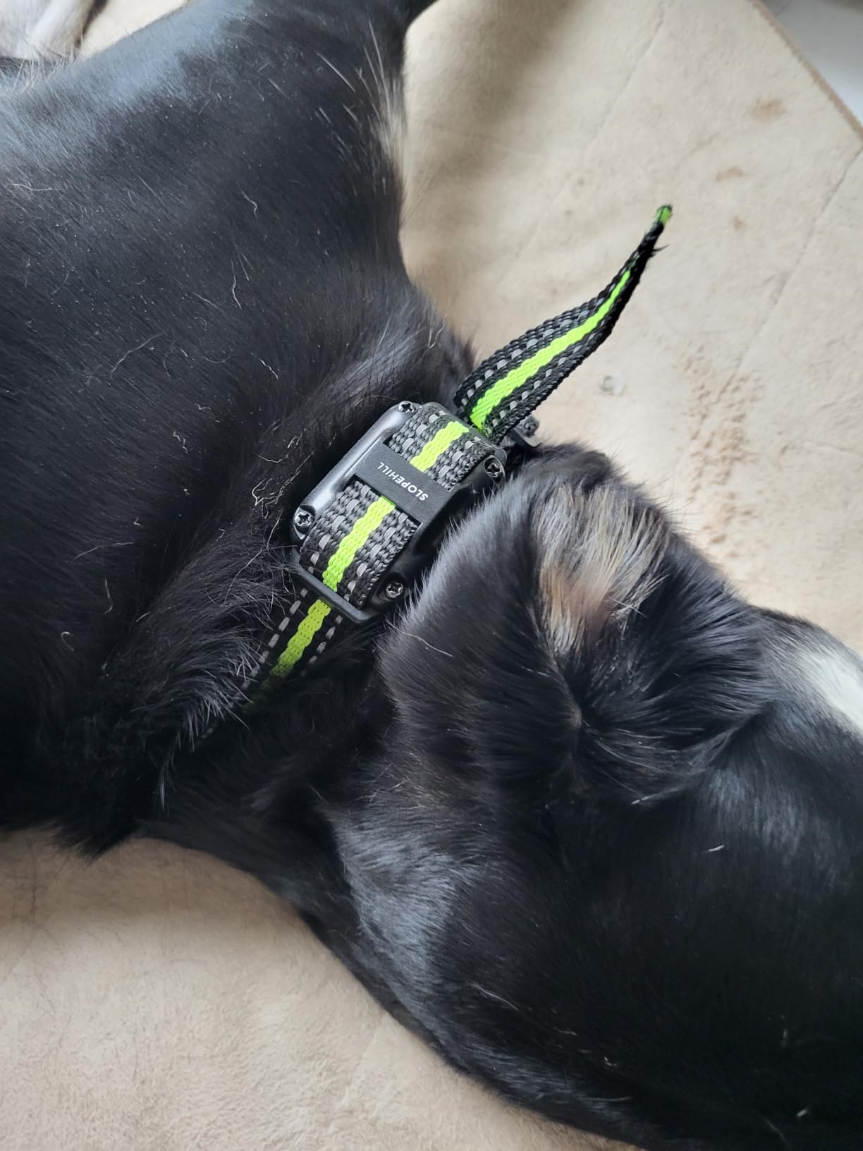 SLOPEHILL Dog Training Collar with Remote, 4200FT Electric Shock Collar, Waterproof E-Collar with Beep, Vibration, Shock, Flash Light and No Shock Mode, Fit for 8-140lbs Small Medium Large Dogs (Green) customer photo 2