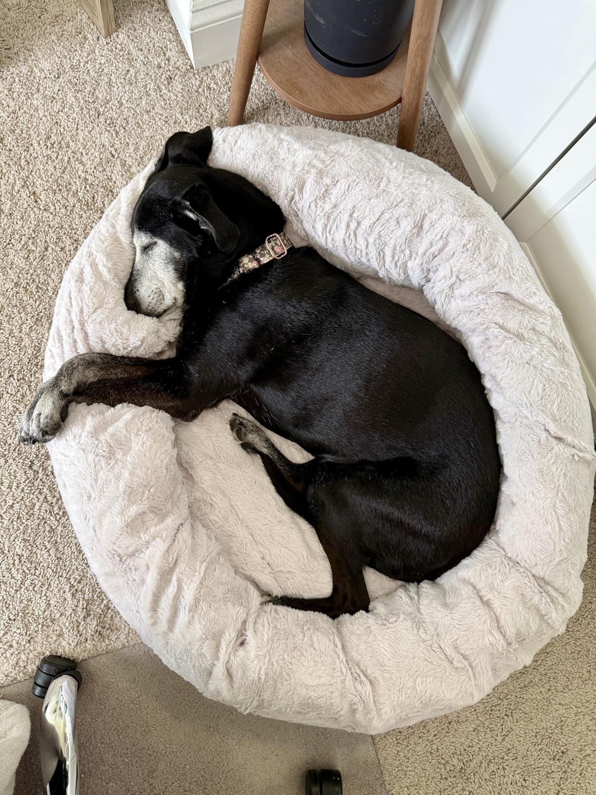 Best Friends by Sheri The Original Calming Donut Dog Bed for Medium Dogs up to 45 lbs, Lux Faux Fur, Oyster, Medium, 30
