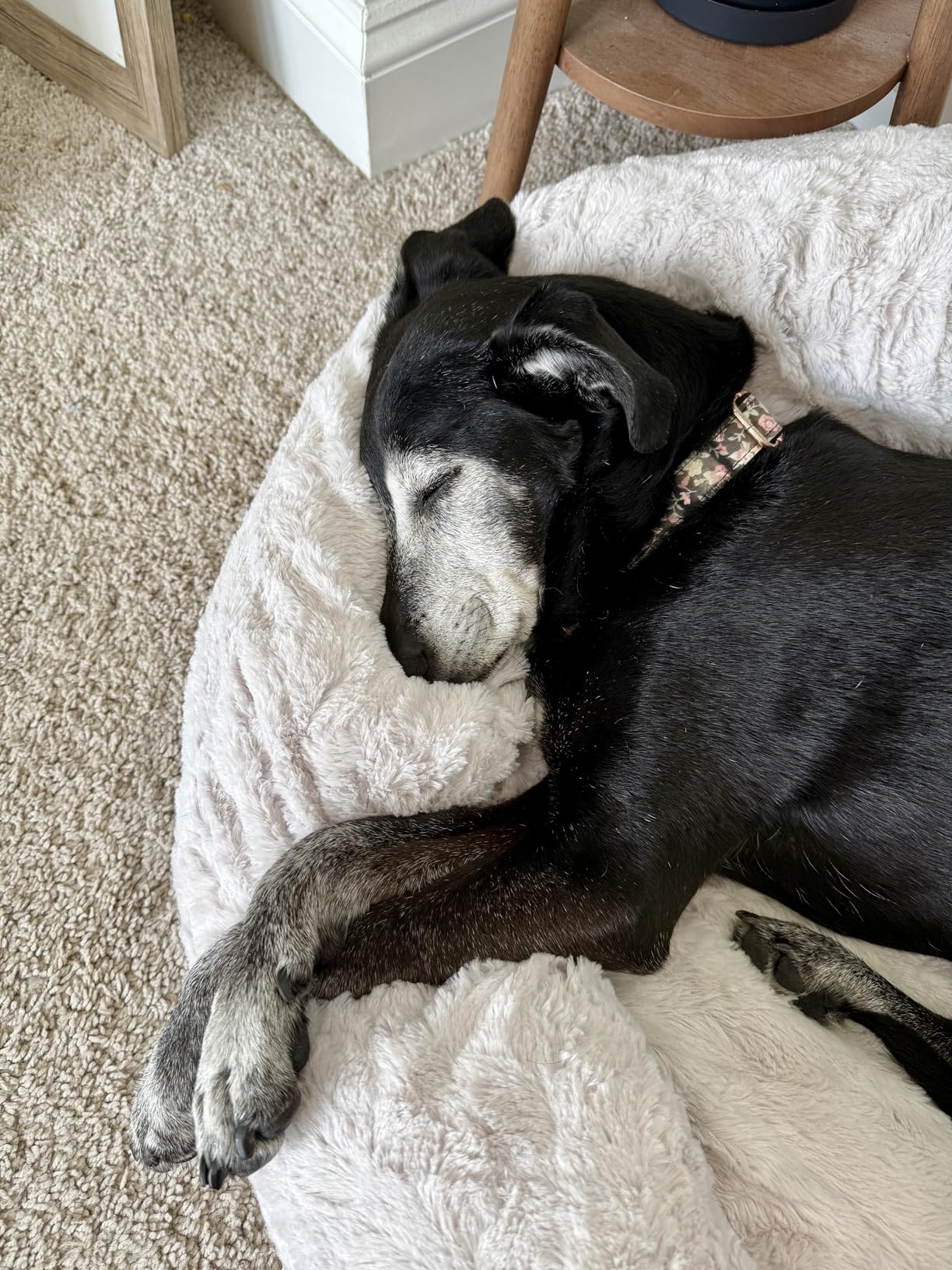 Best Friends by Sheri The Original Calming Donut Dog Bed for Medium Dogs up to 45 lbs, Lux Faux Fur, Oyster, Medium, 30