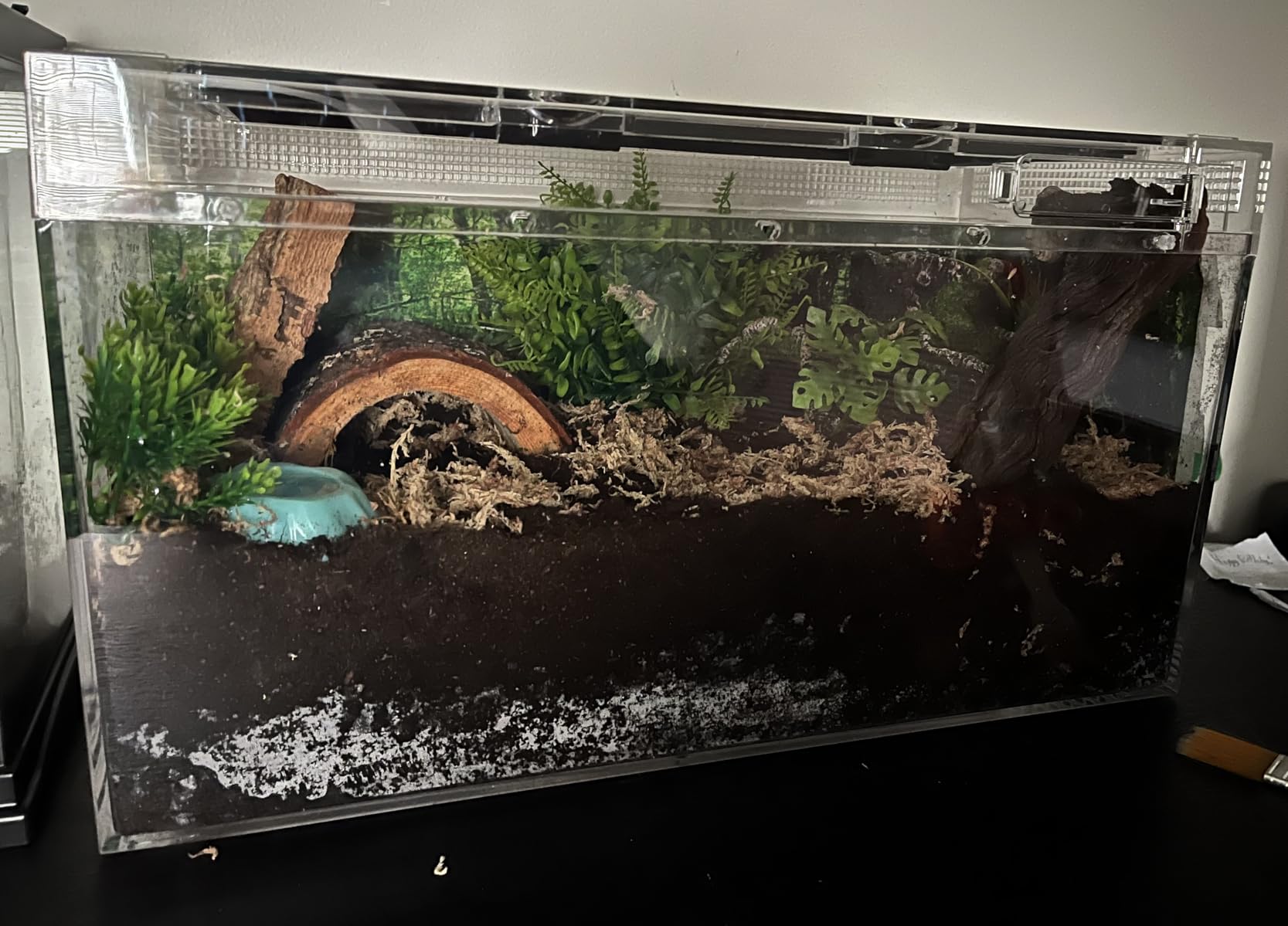 Reptile Growth Reptile Terrarium,10 Gallon Reptile Tank 20