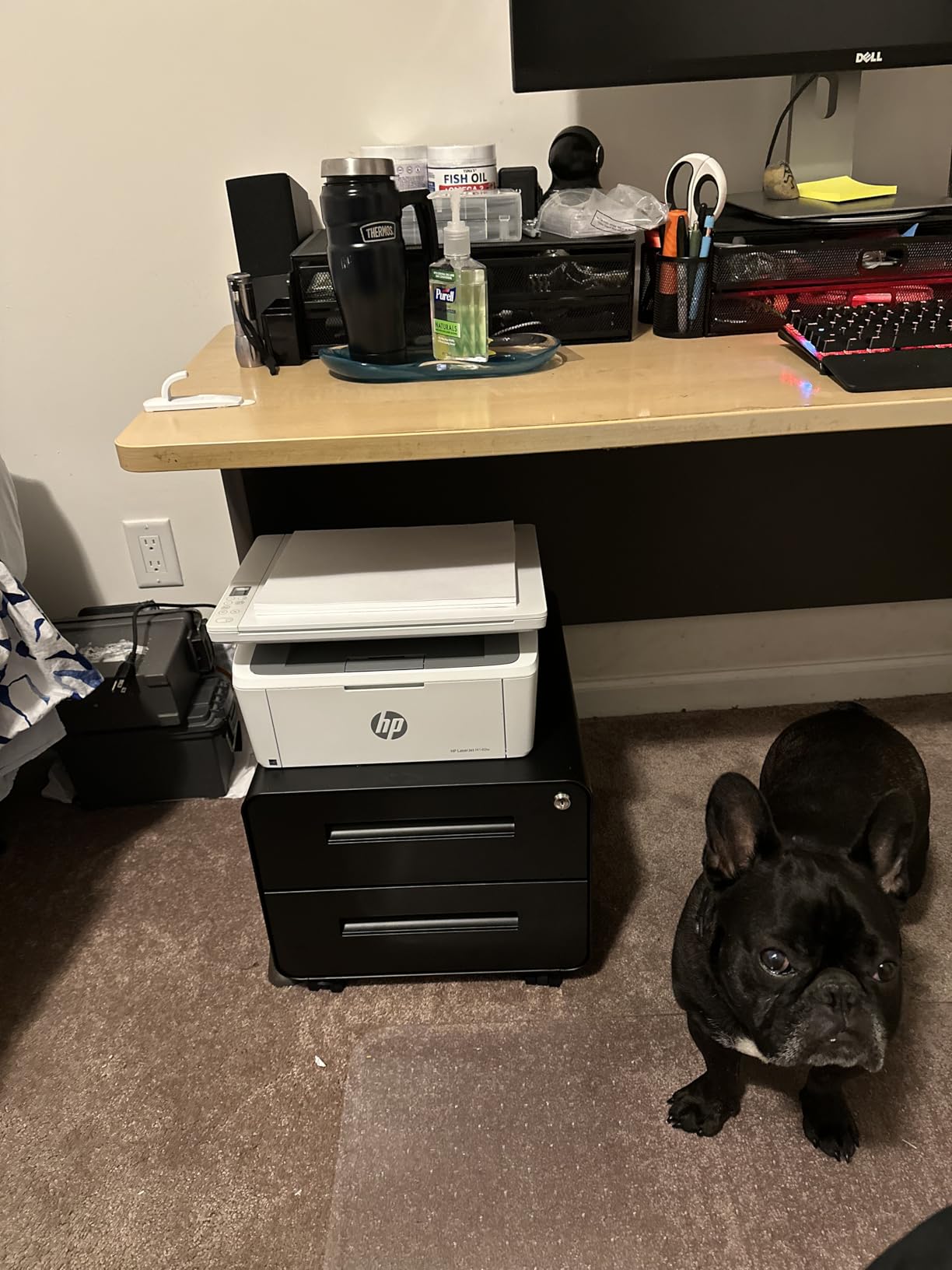 HP Laserjet MFP M140w Wireless Black & White Printer, Print, scan, Copy, Fast speeds, Easy Setup, Mobile Printing customer photo 2