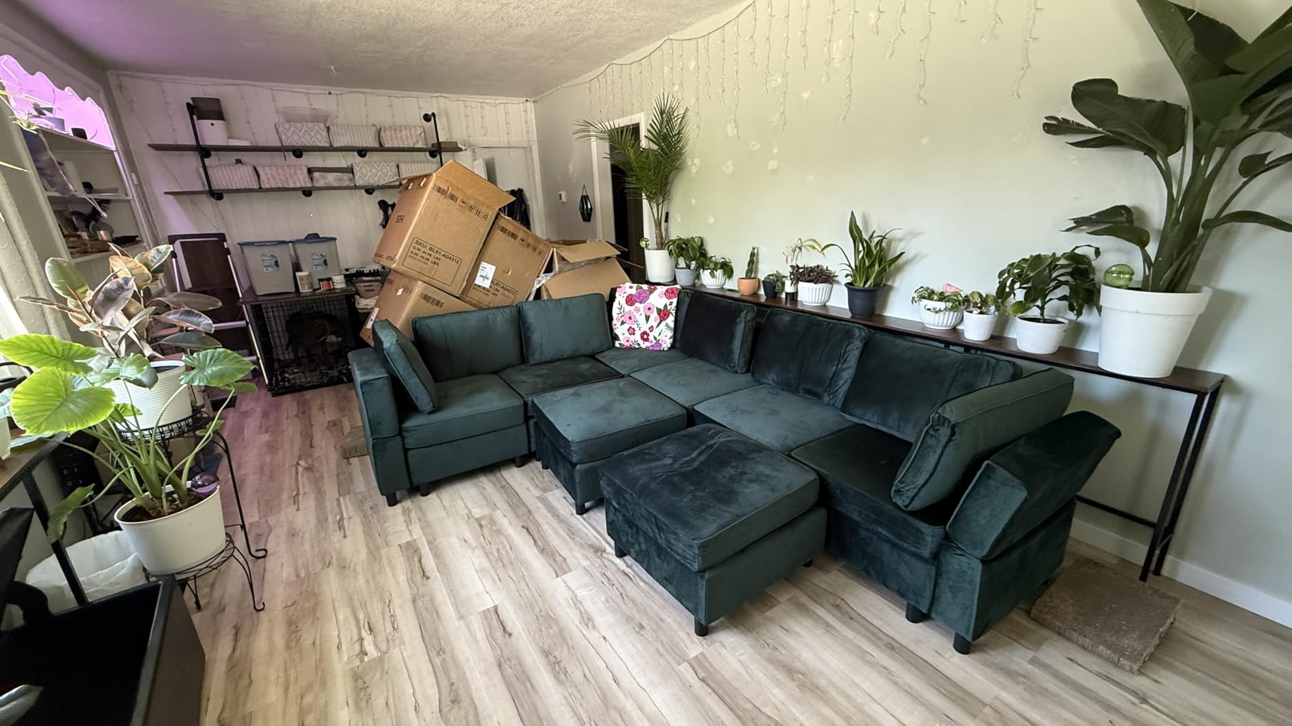Belffin Modular Sectional Sofa with Storage Seat, Oversized U Shaped Couch with Reversible Chaise Sofa Set with Ottoman, Velvet Grey customer photo 1