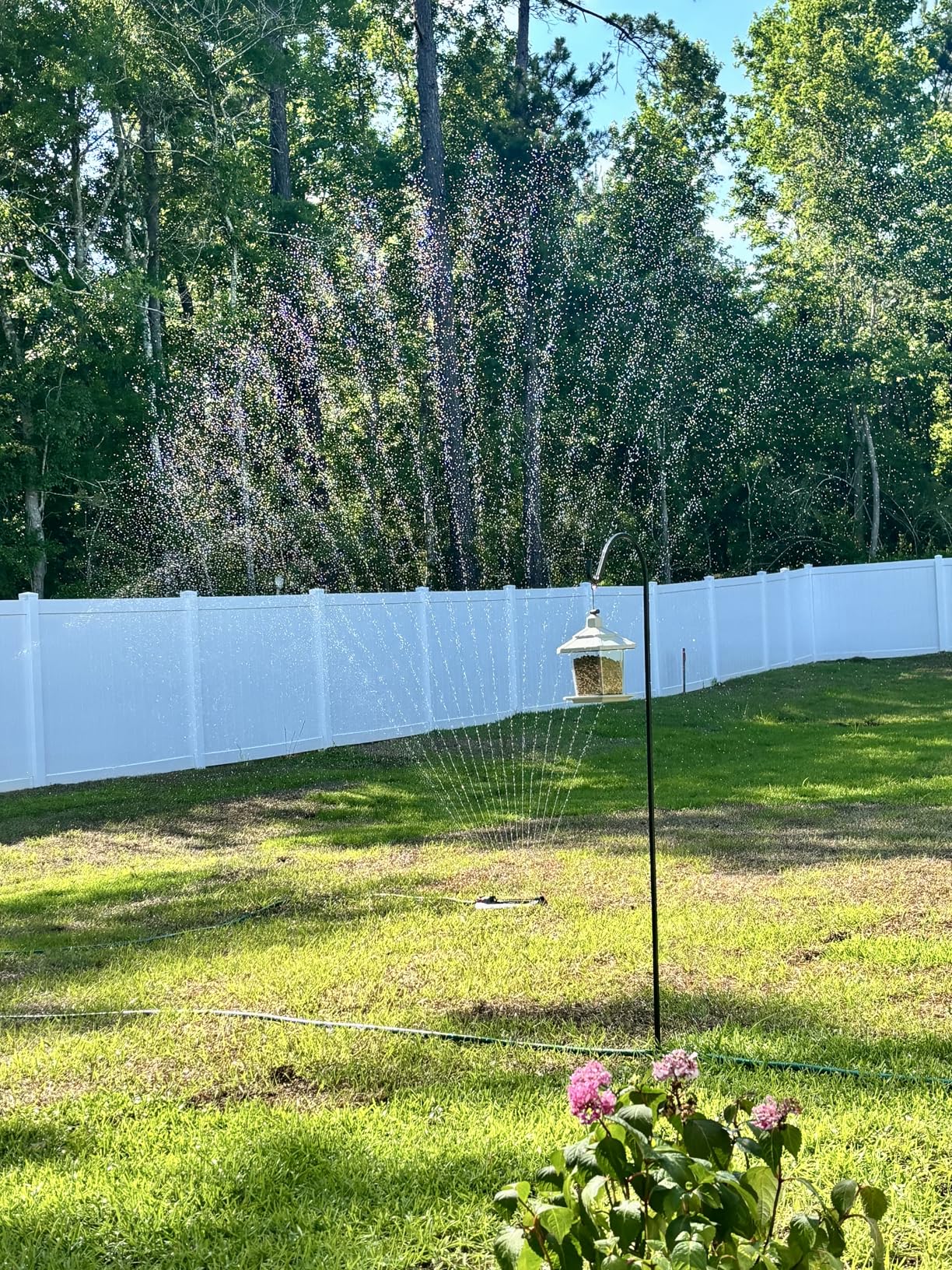 Eden 96213EDAMZ Weighted Essential Oscillating Sprinkler | Covers Up to 3,600 sq. ft., 16 Precision Nozzles, Adjustable Range, Turbo Drive Motor, Quick Connect Bundle customer photo 1